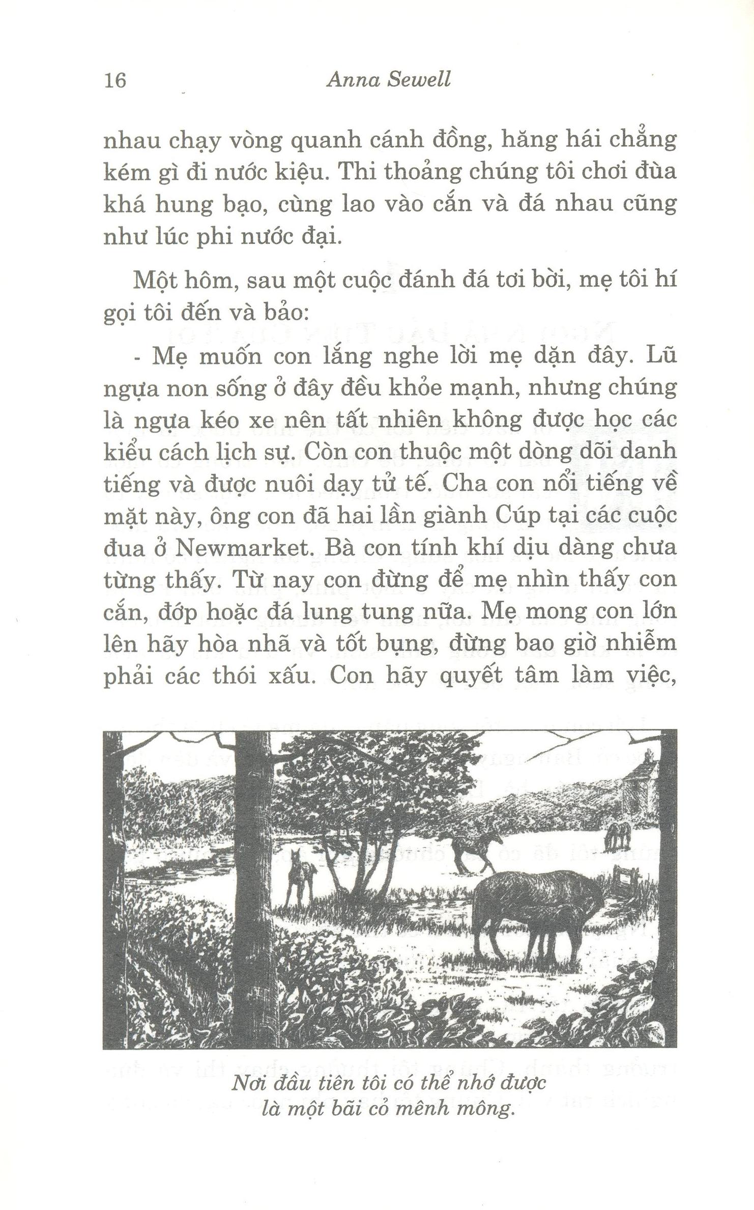 ngựa ô yêu dấu (tái bản 2020)