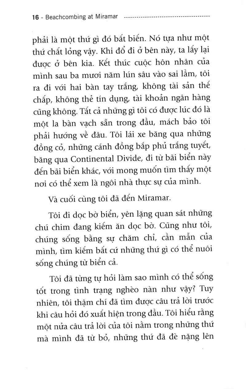 người đi tìm tặng vật của biển (tái bản)
