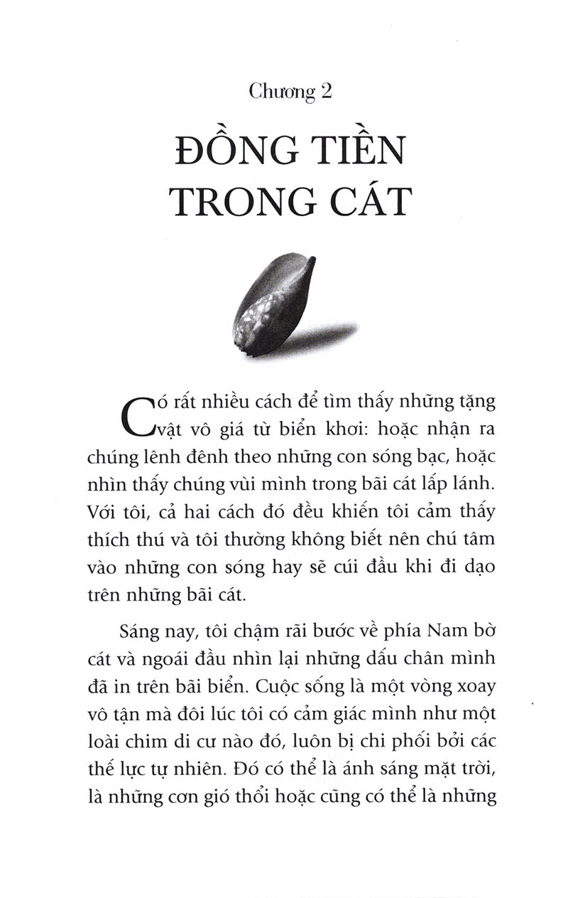 người đi tìm tặng vật của biển (tái bản)