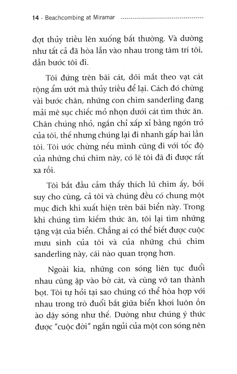 người đi tìm tặng vật của biển (tái bản)