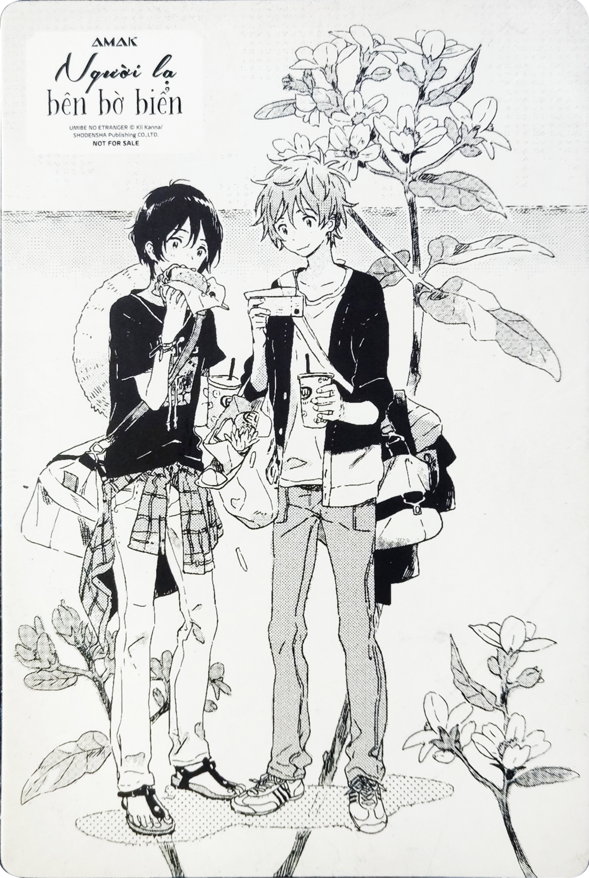 người lạ bên bờ biển - tặng kèm bookmark + postcard + bộ 6 card bo góc cán màng kim tuyến (tái bản 2022)