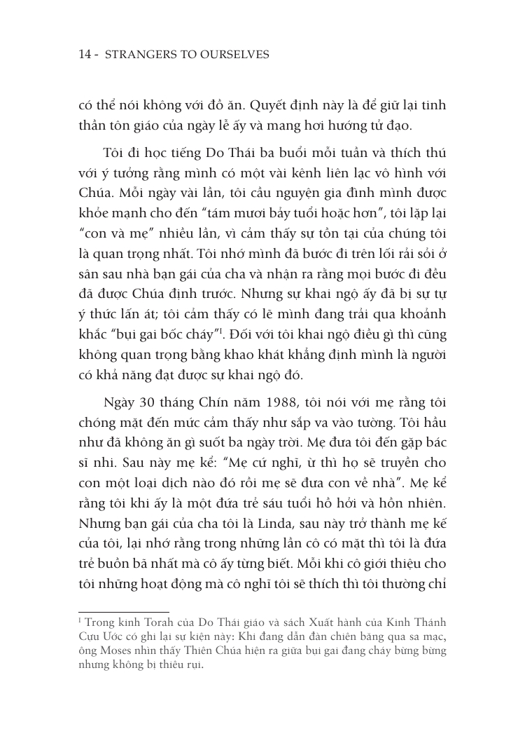 Nguoi La Voi Chinh Ta - Strangers To Ourselves