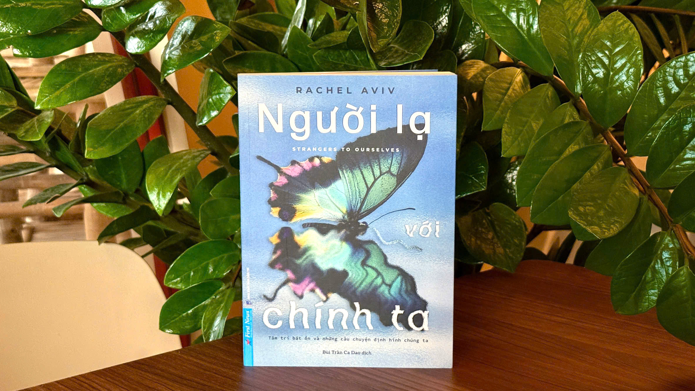 Nguoi La Voi Chinh Ta - Strangers To Ourselves