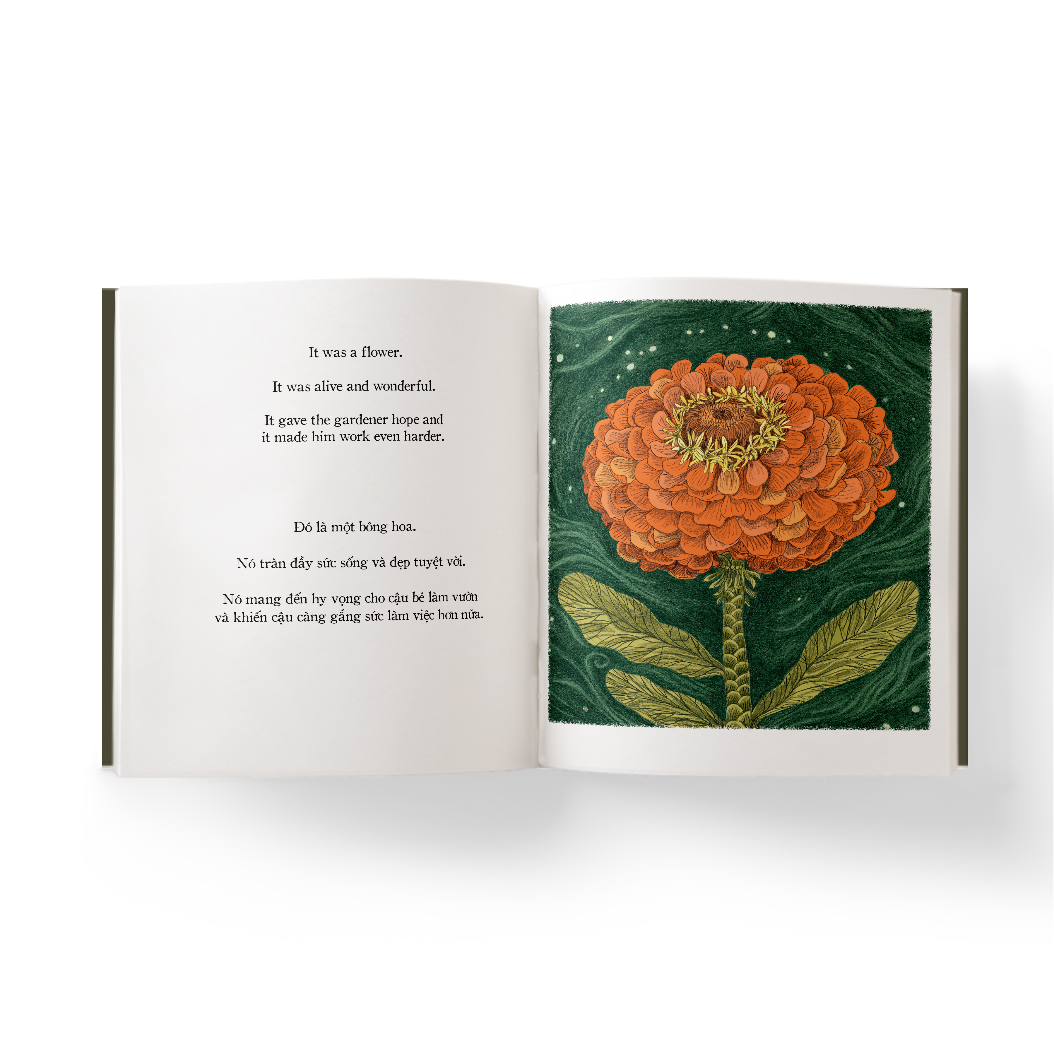 người làm vườn tí hon - the little gardener (song ngữ anh - việt)