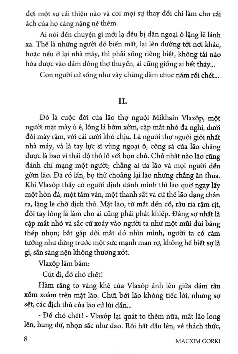 người mẹ (tái bản 2024)
