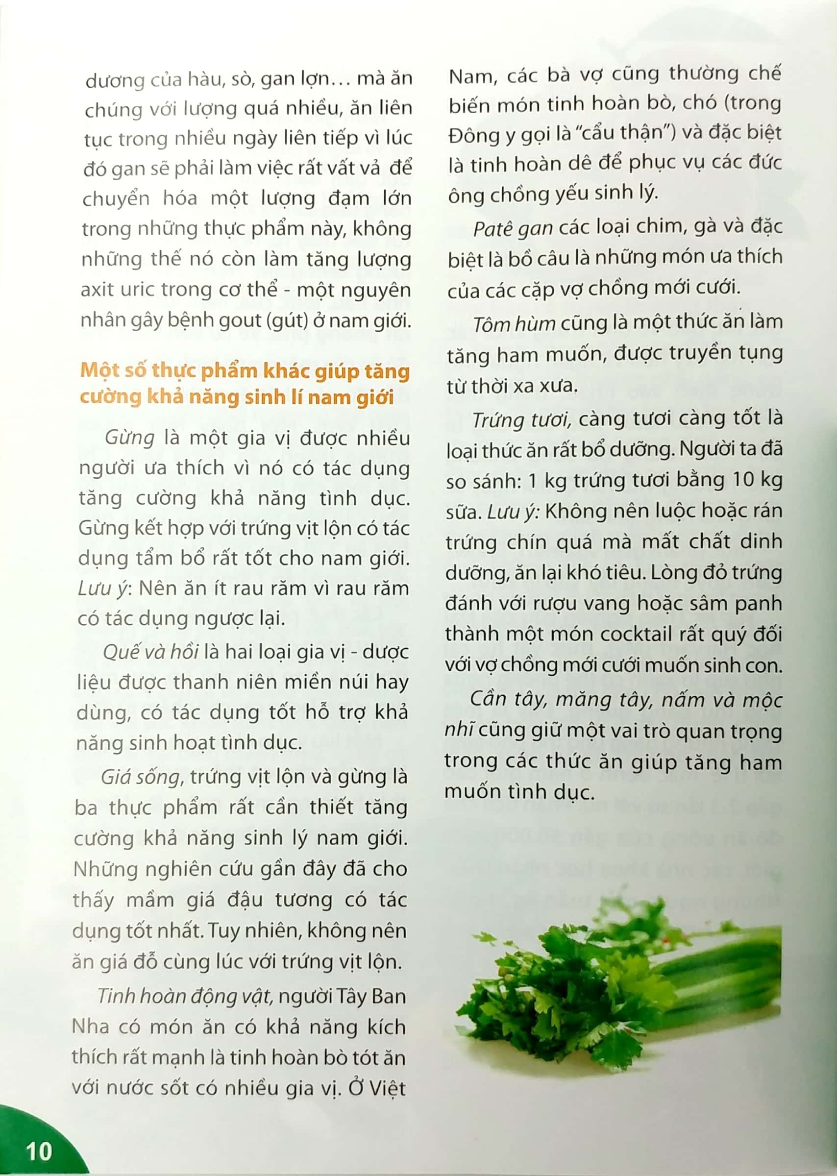 người nội trợ thông minh - món ngon bổ dưỡng cho nam giới