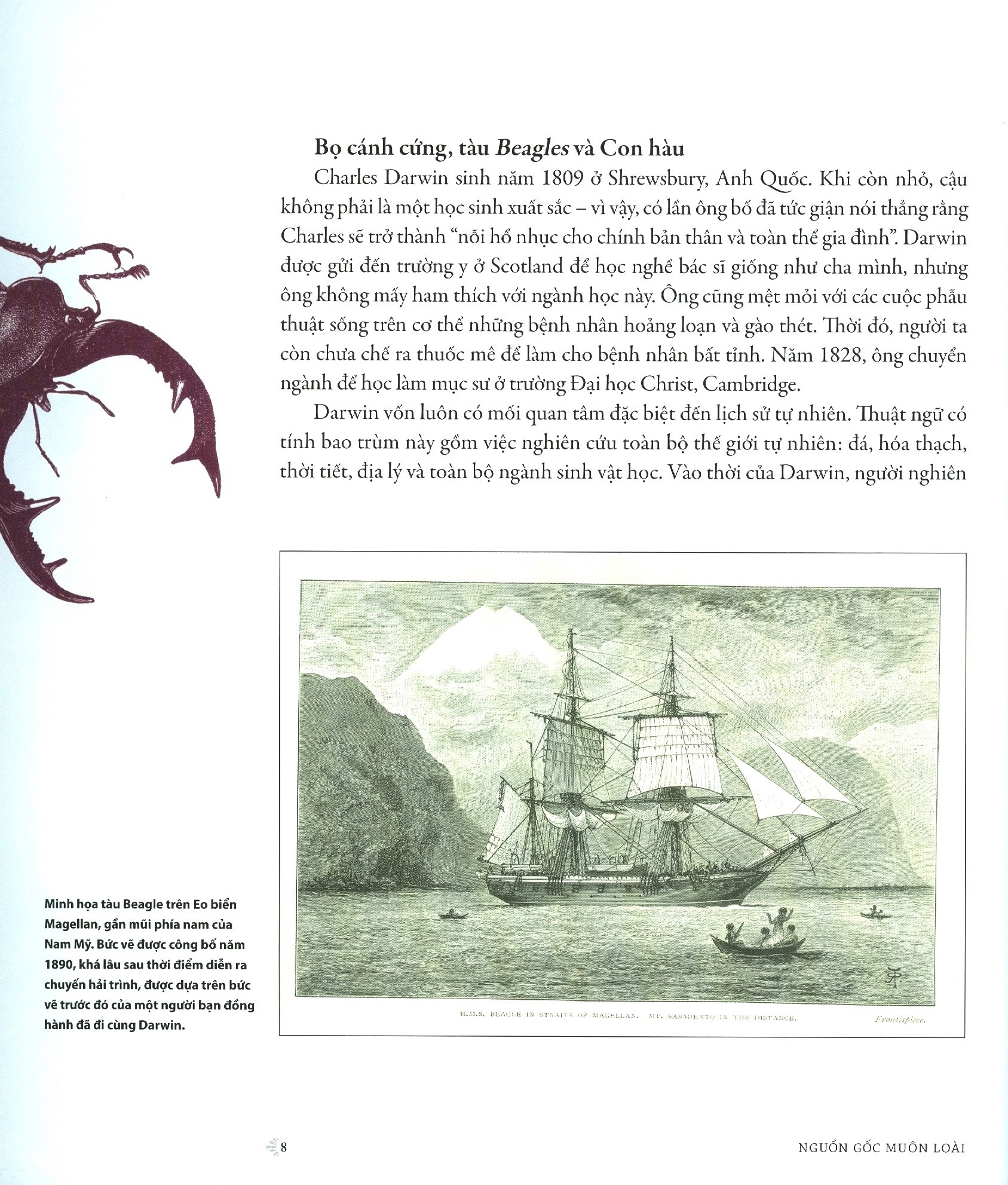 Nguon Goc Muon Loai - Phien Ban Danh Cho Gioi Tre - Bia Cung (Tai Ban 2025)