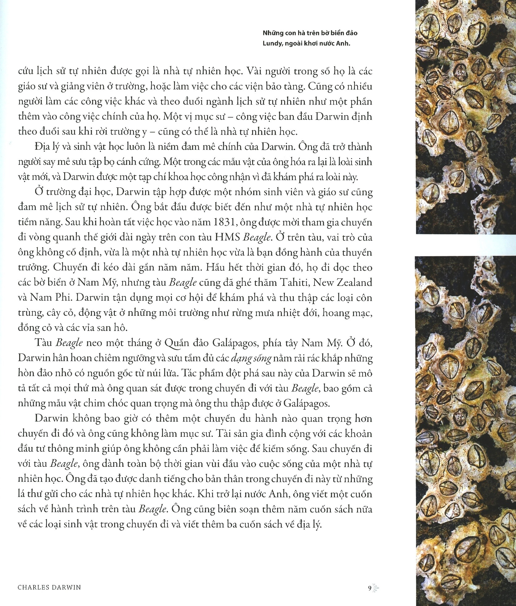 Nguon Goc Muon Loai - Phien Ban Danh Cho Gioi Tre - Bia Cung (Tai Ban 2025)