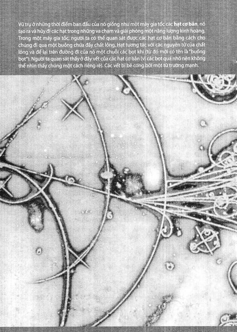 nguồn gốc - nỗi hoài niệm về những thuở ban đầu