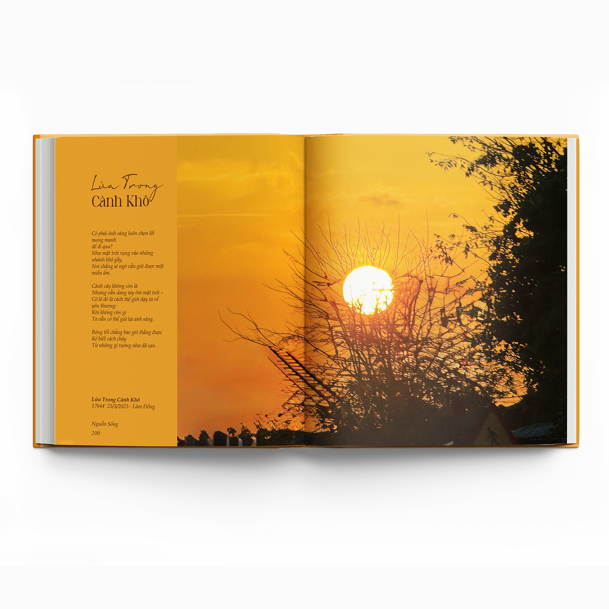 Nguồn Sống - Bìa Cứng