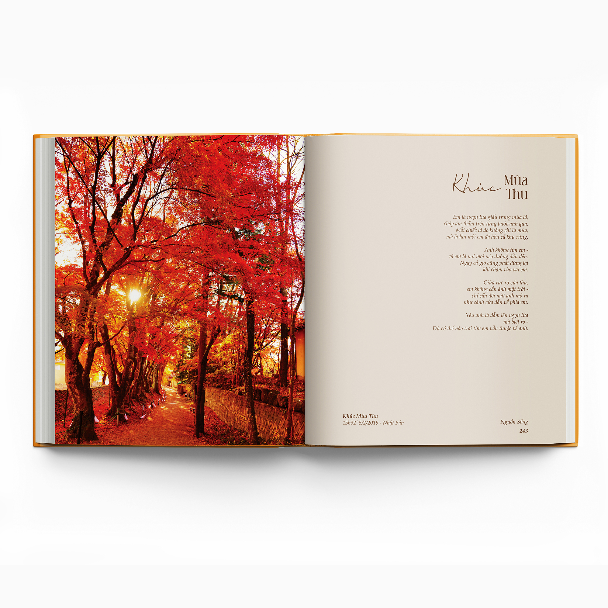 Nguồn Sống - Bìa Cứng