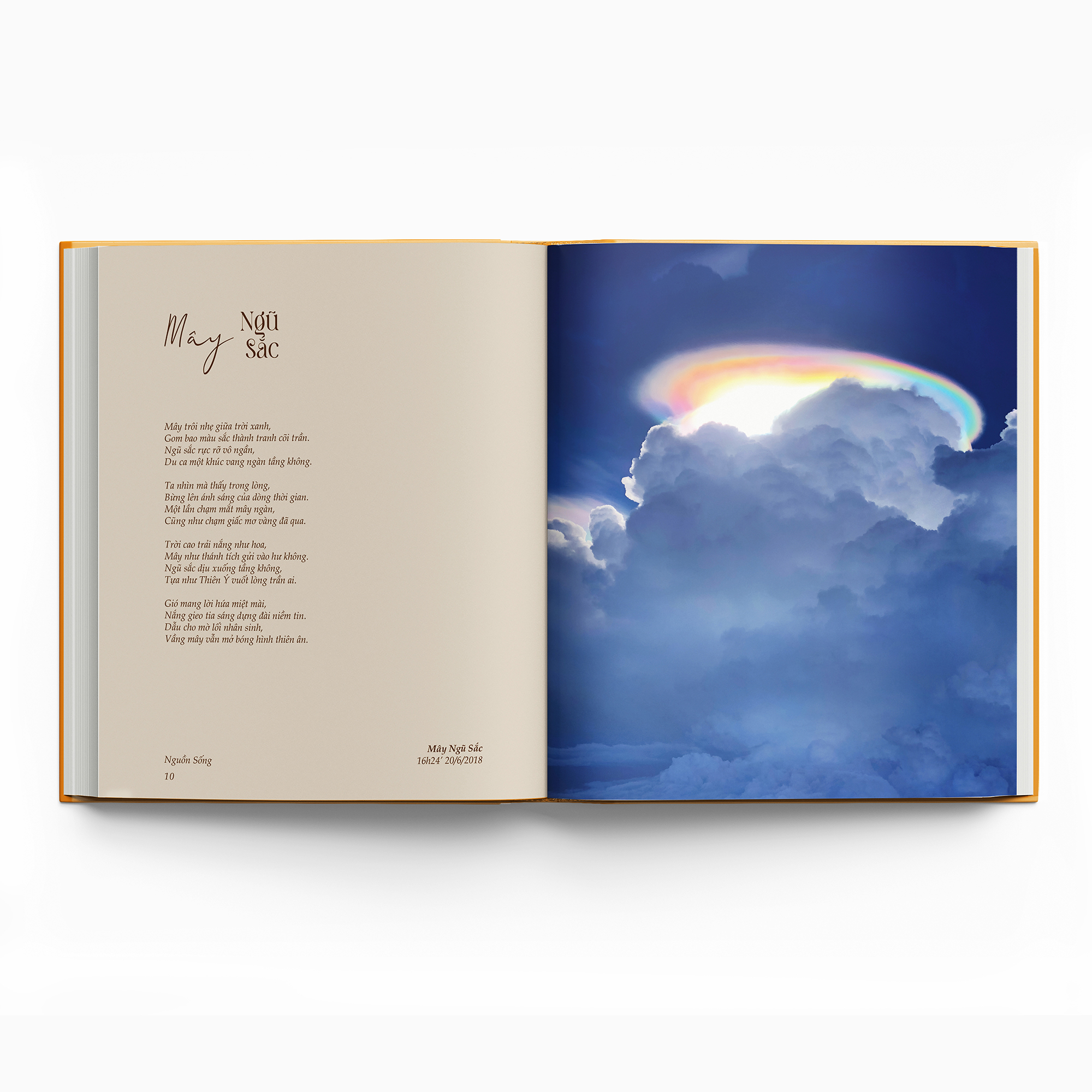 Nguồn Sống - Bìa Cứng