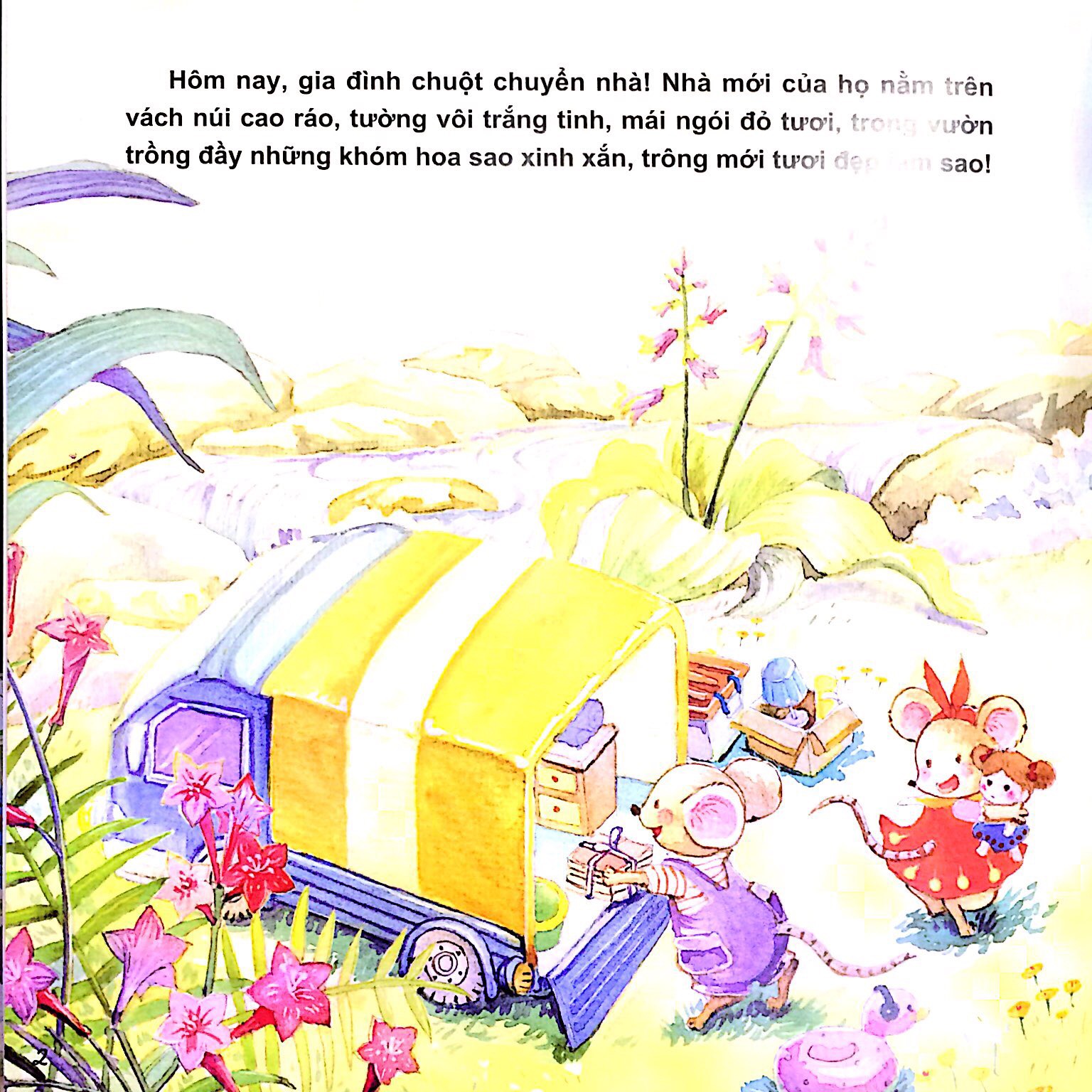 nguyên nhân động đất - làm gì khi động đất