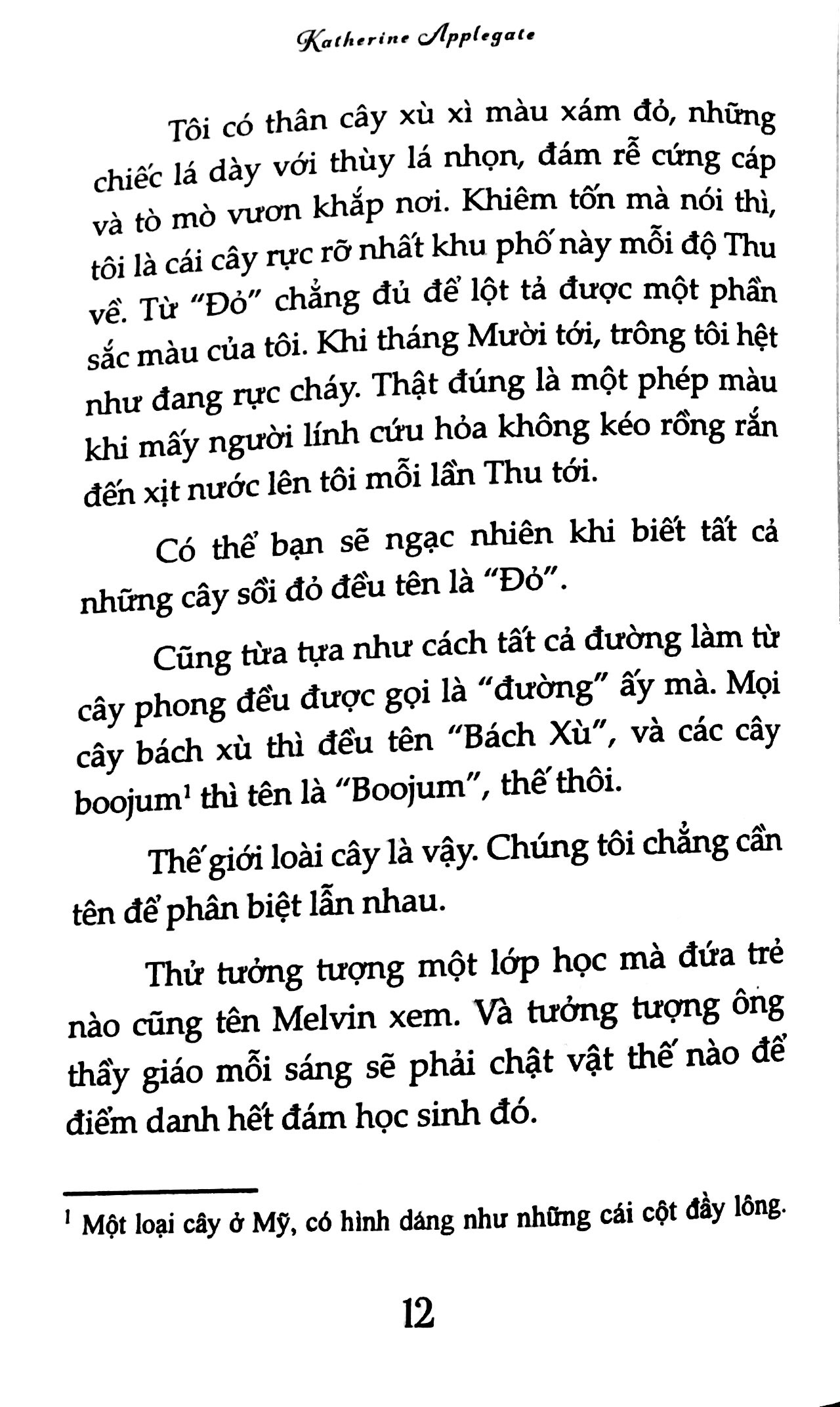 nguyện ước tháng năm(tái bản 2018) - dành cho 13+