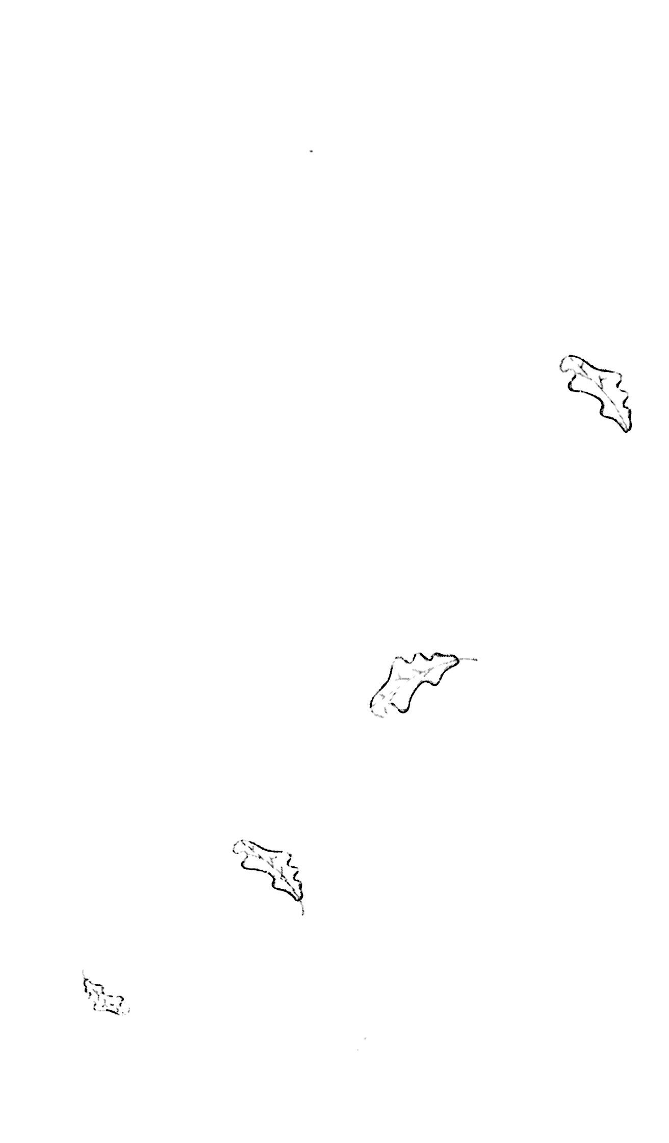 nguyện ước tháng năm(tái bản 2018) - dành cho 13+