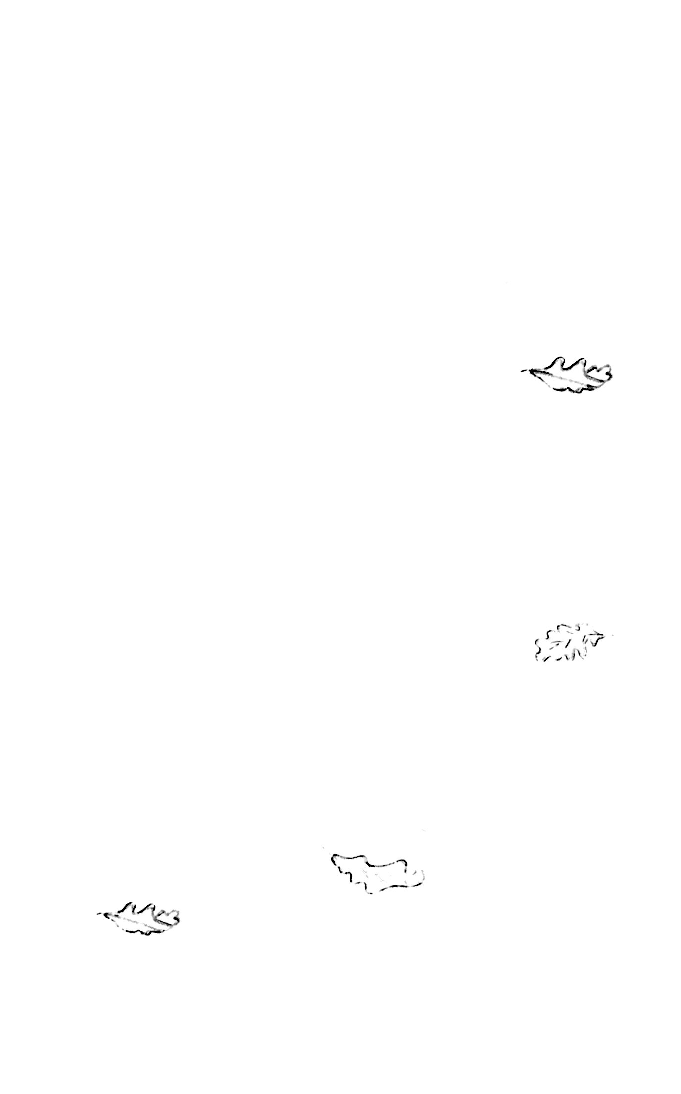 nguyện ước tháng năm(tái bản 2018) - dành cho 13+