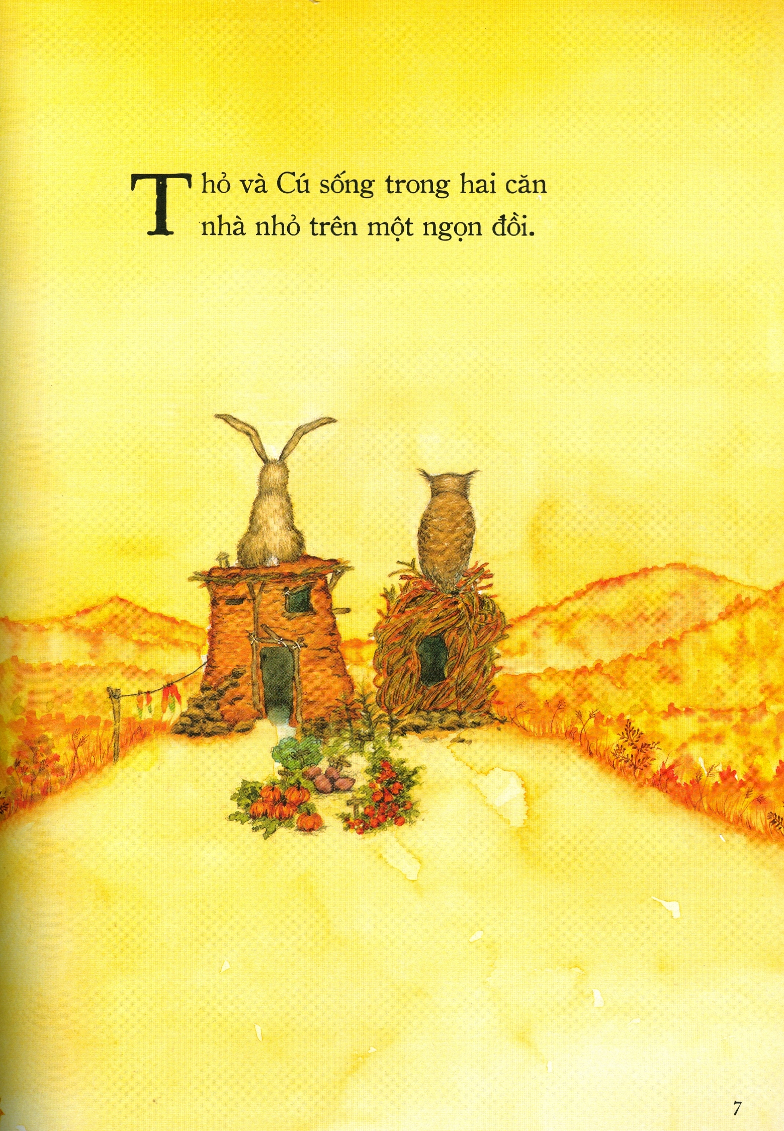 nhà của ai cao hơn?