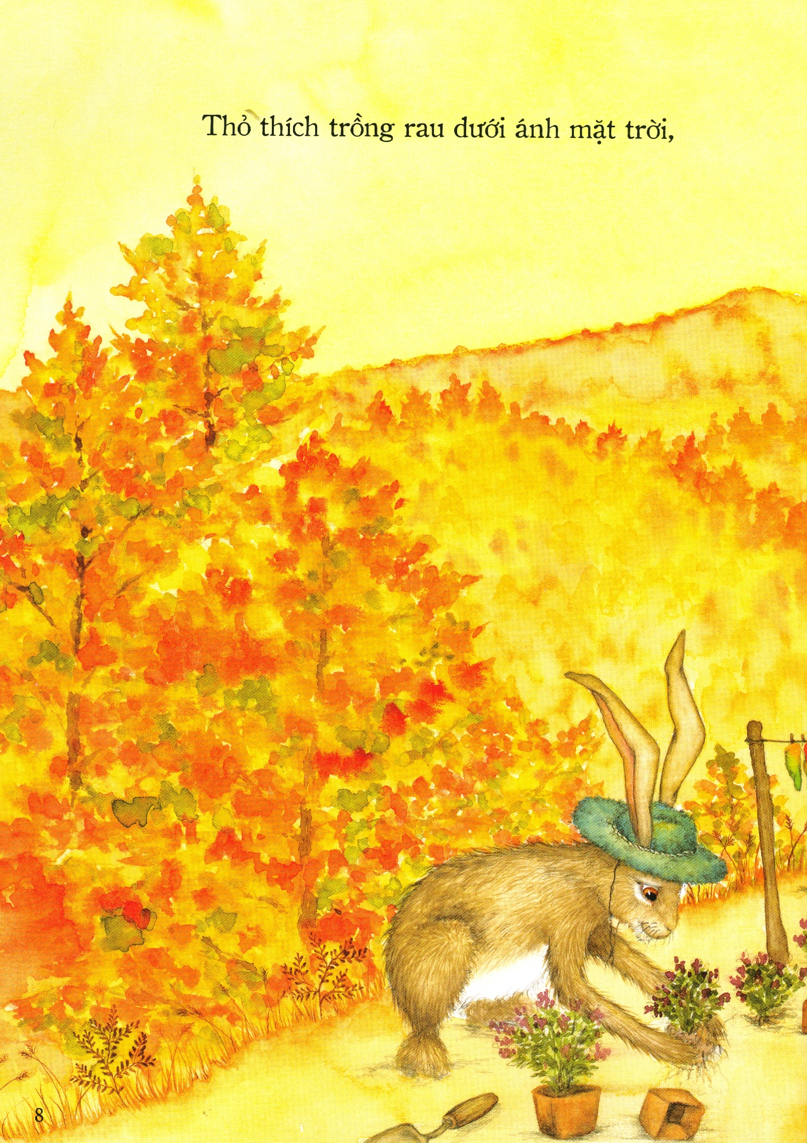 nhà của ai cao hơn?