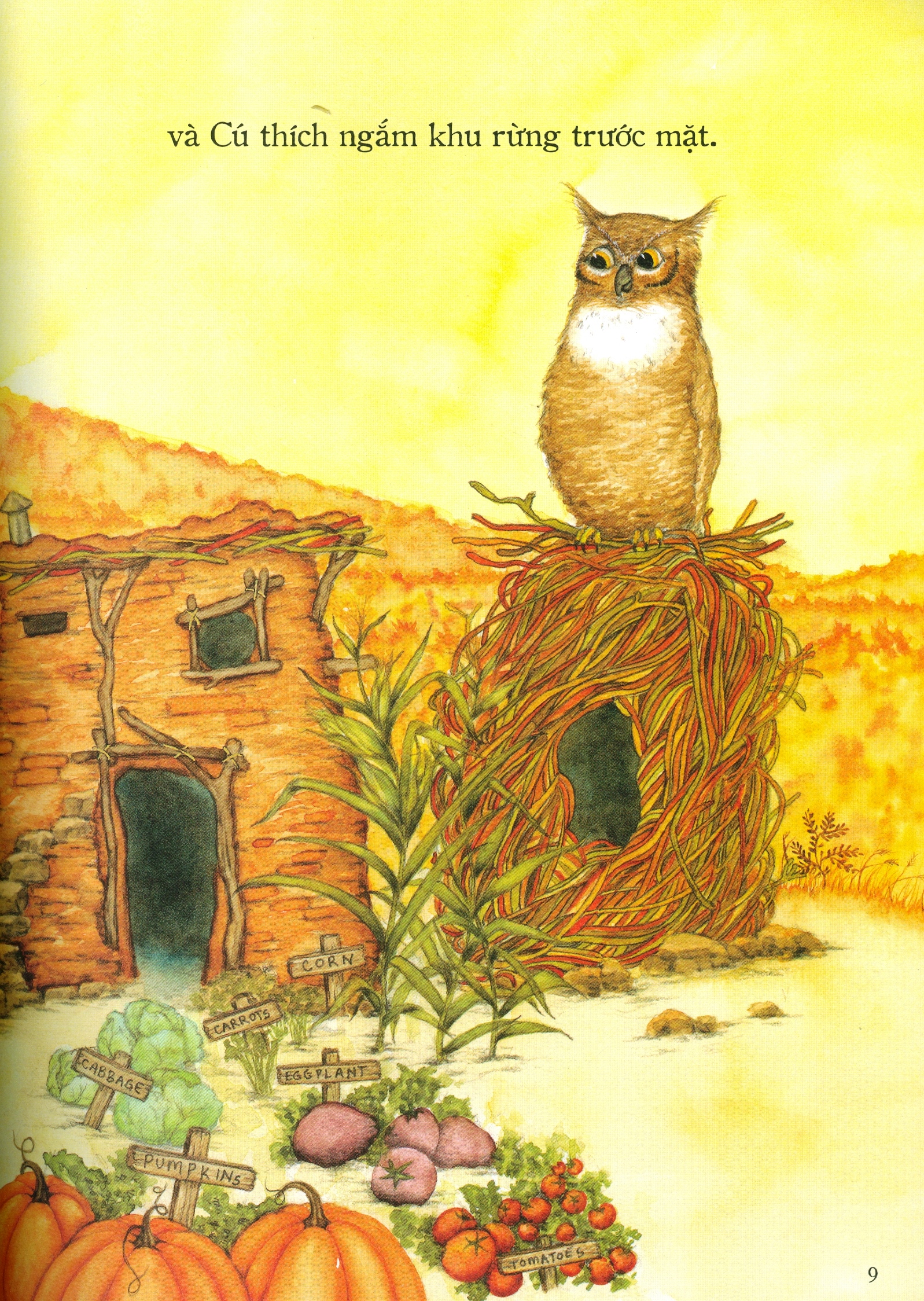 nhà của ai cao hơn?