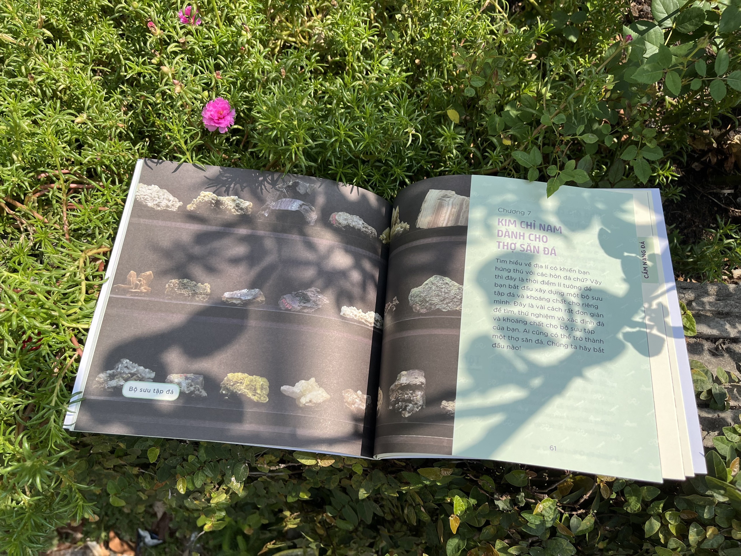 nhà khoa học nhí - tìm hiểu địa chất - đá, khoáng chất và mặt đất dưới chân ta