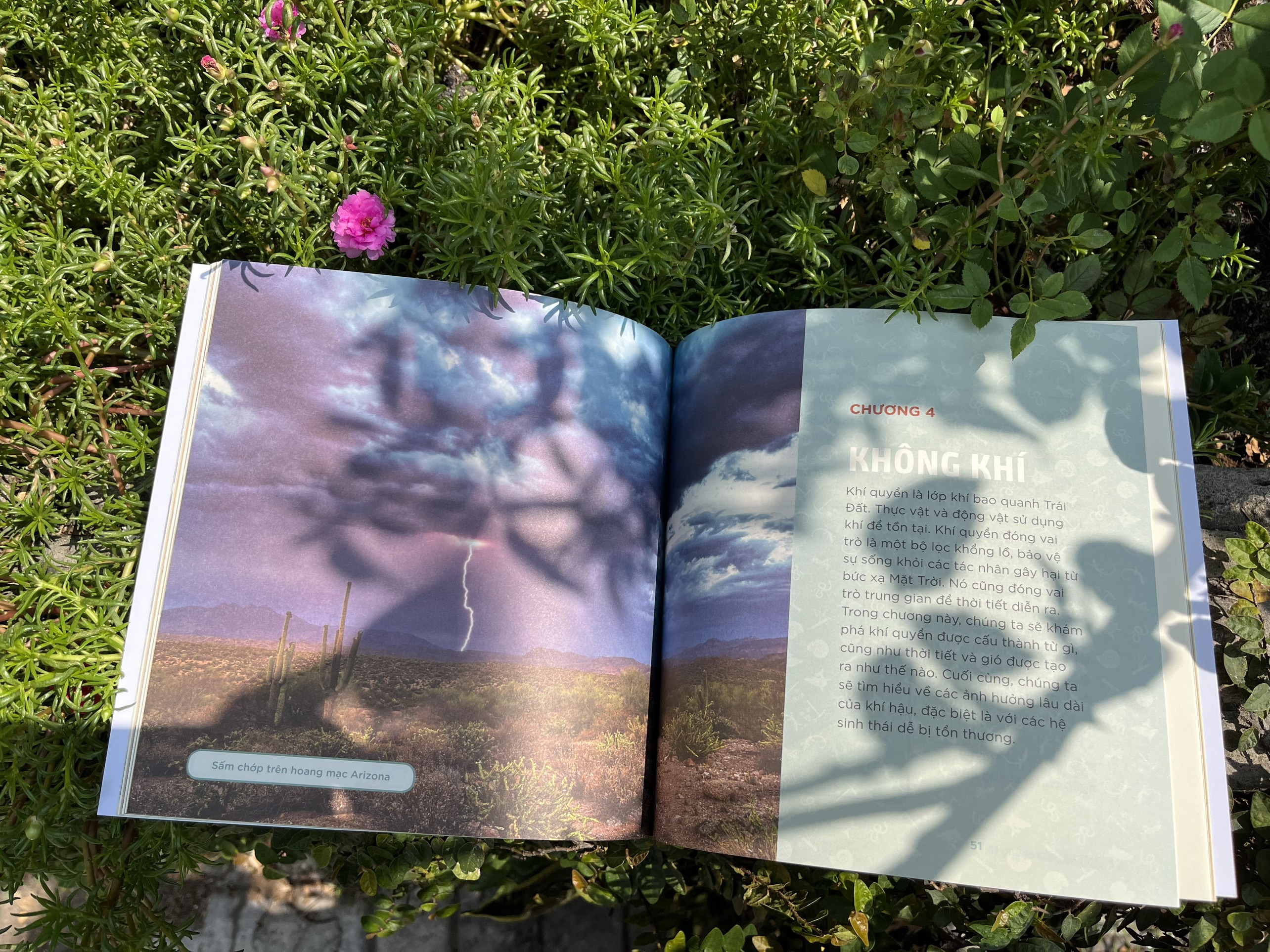 nhà khoa học nhí - trái đất của chúng ta - nước, không khí và sự sống trong sinh quyển