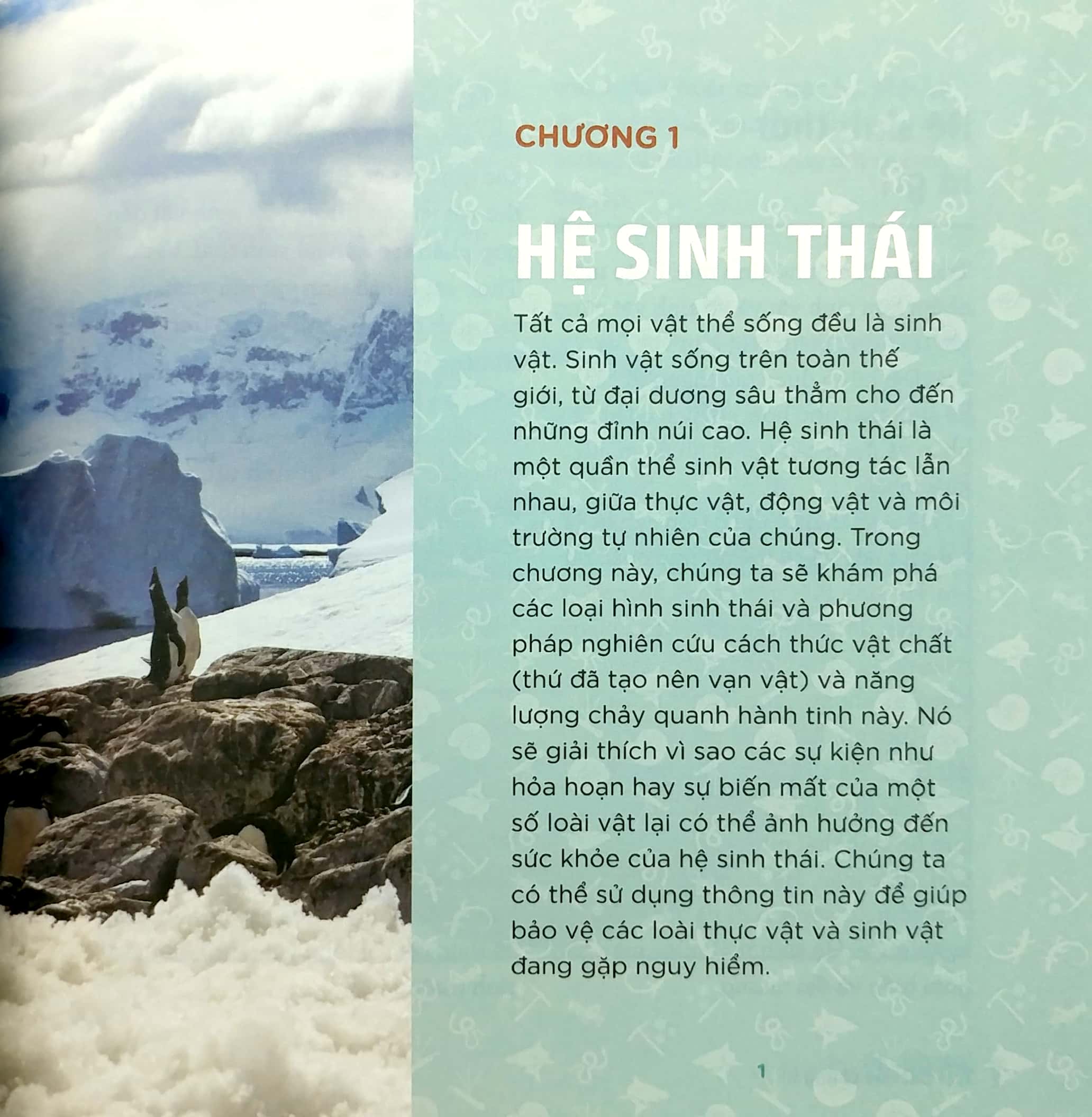 nhà khoa học nhí - trái đất của chúng ta - nước, không khí và sự sống trong sinh quyển