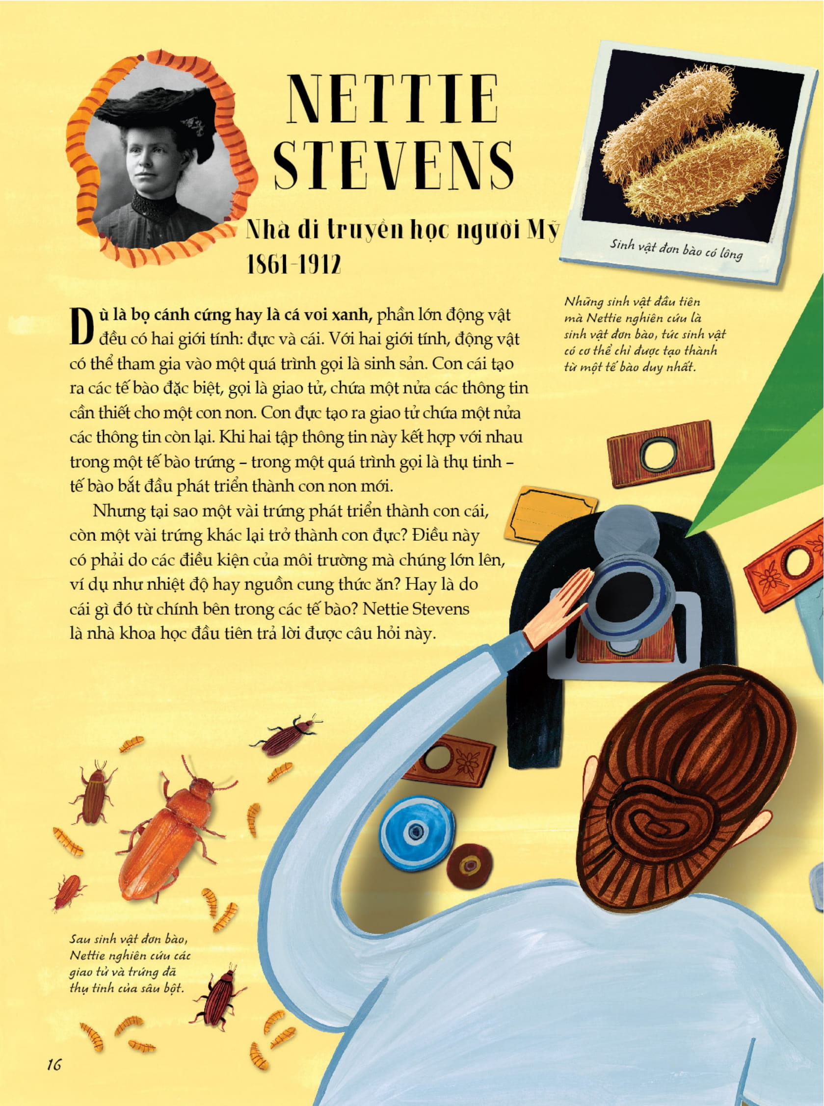 nhà khoa học - những câu chuyện truyền cảm hứng từ những nhà khoa học lỗi lạc nhất thế giới - bìa cứng