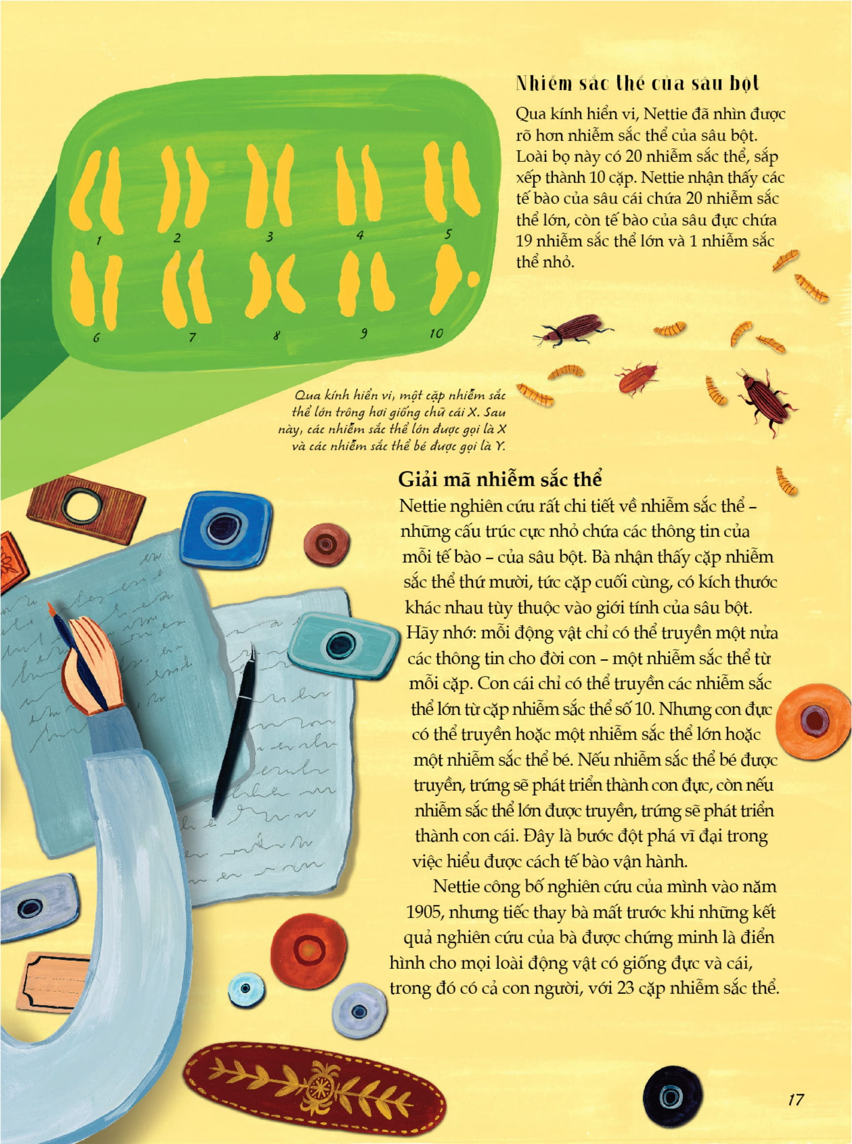 nhà khoa học - những câu chuyện truyền cảm hứng từ những nhà khoa học lỗi lạc nhất thế giới - bìa cứng