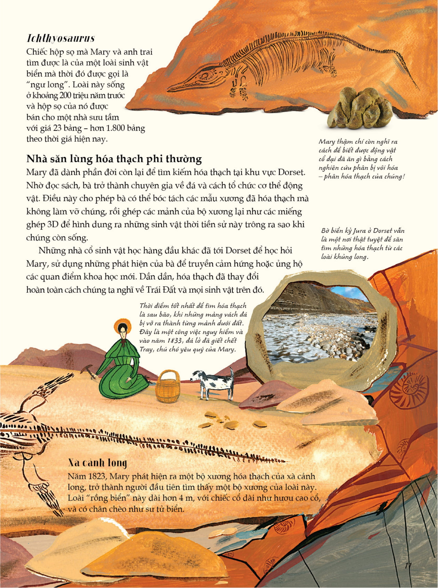 nhà khoa học - những câu chuyện truyền cảm hứng từ những nhà khoa học lỗi lạc nhất thế giới - bìa cứng