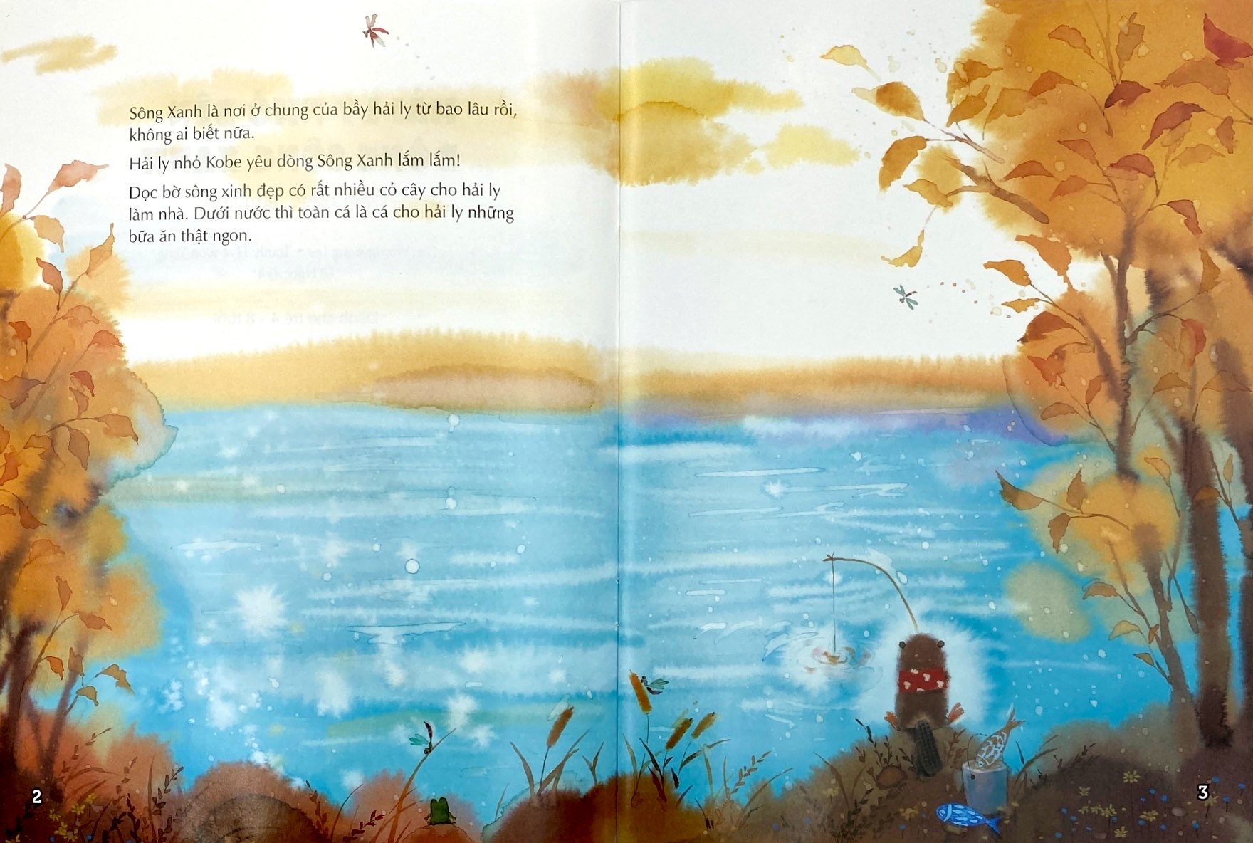 nhà lãnh đạo nhí - hải ly nhỏ bên dòng sông xanh