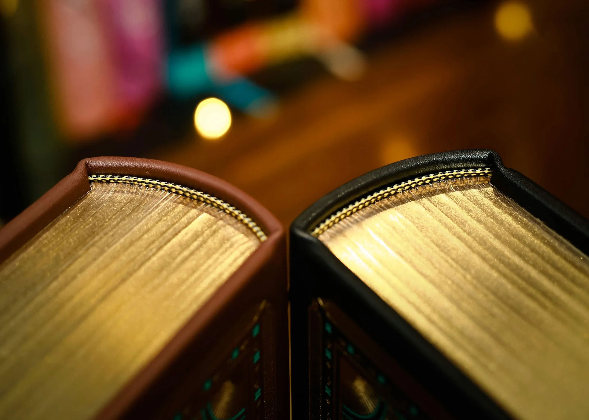 nhà thờ đức bà paris - ấn bản giới hạn - bìa da microfiber (mẫu bìa giao ngẫu nhiên)