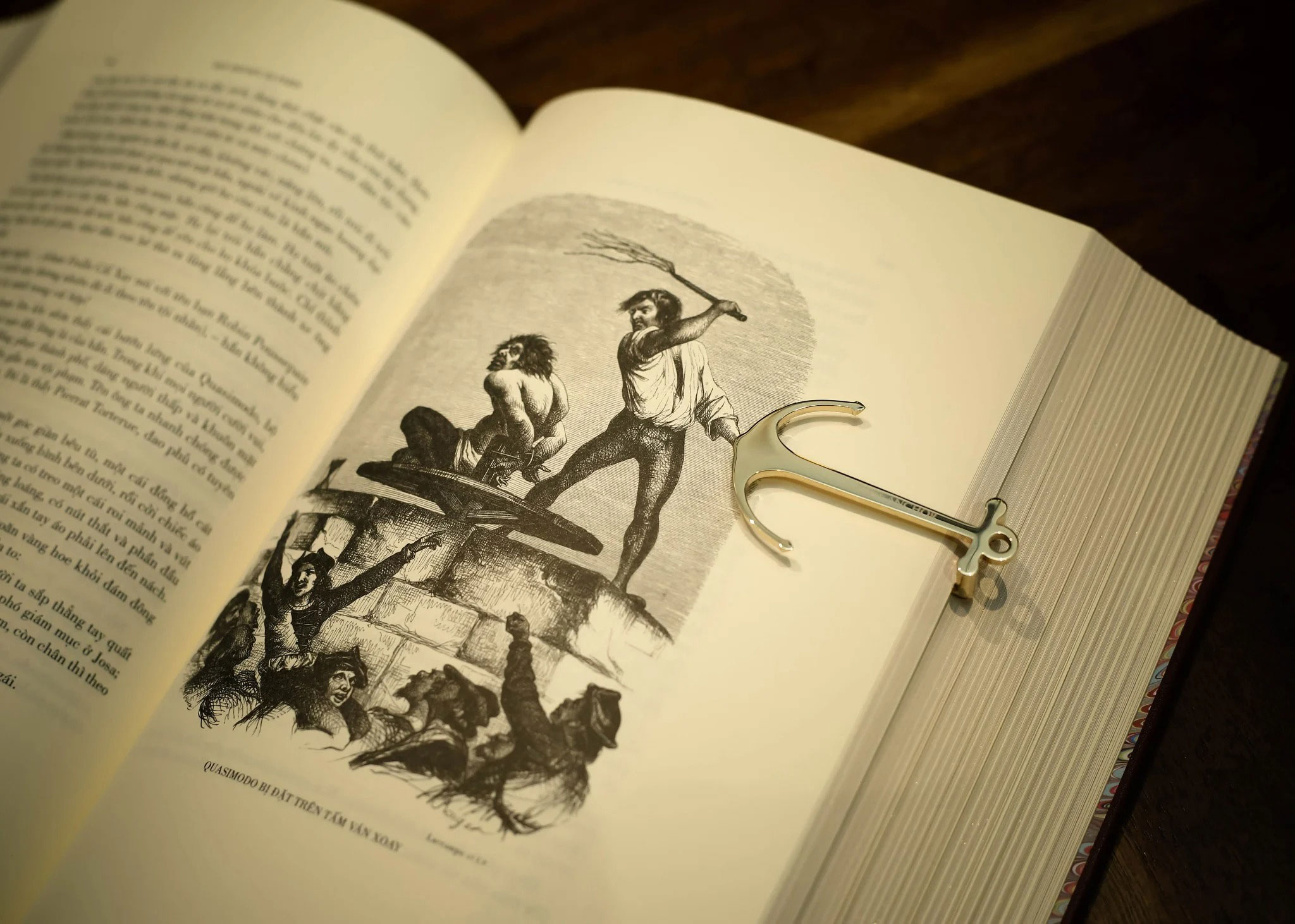 nhà thờ đức bà paris - ấn bản giới hạn - bìa da microfiber (mẫu bìa giao ngẫu nhiên)