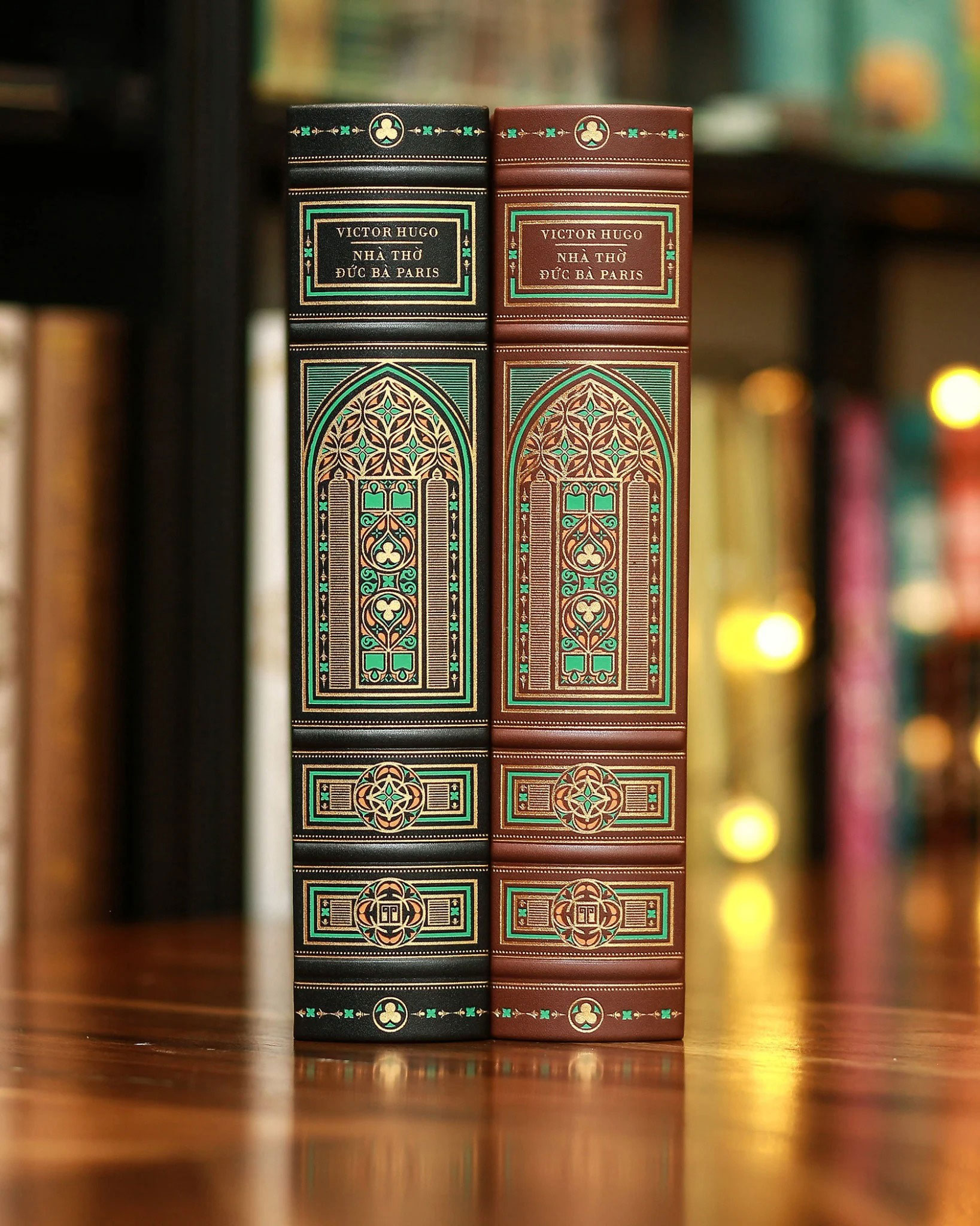 nhà thờ đức bà paris - ấn bản giới hạn - bìa da microfiber (mẫu bìa giao ngẫu nhiên)