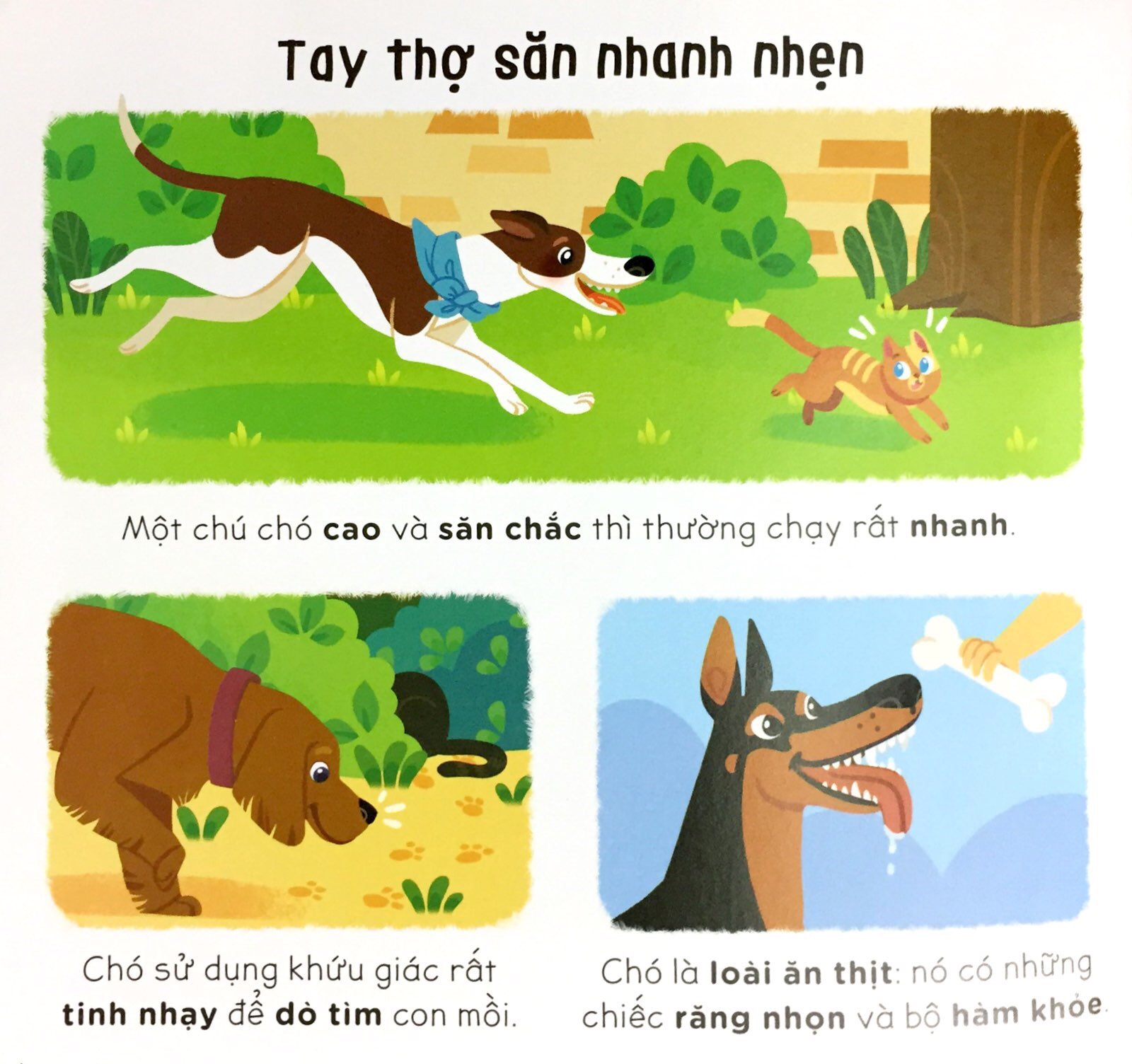 nhà thông thái nhỏ larousse - em muốn nuôi chó