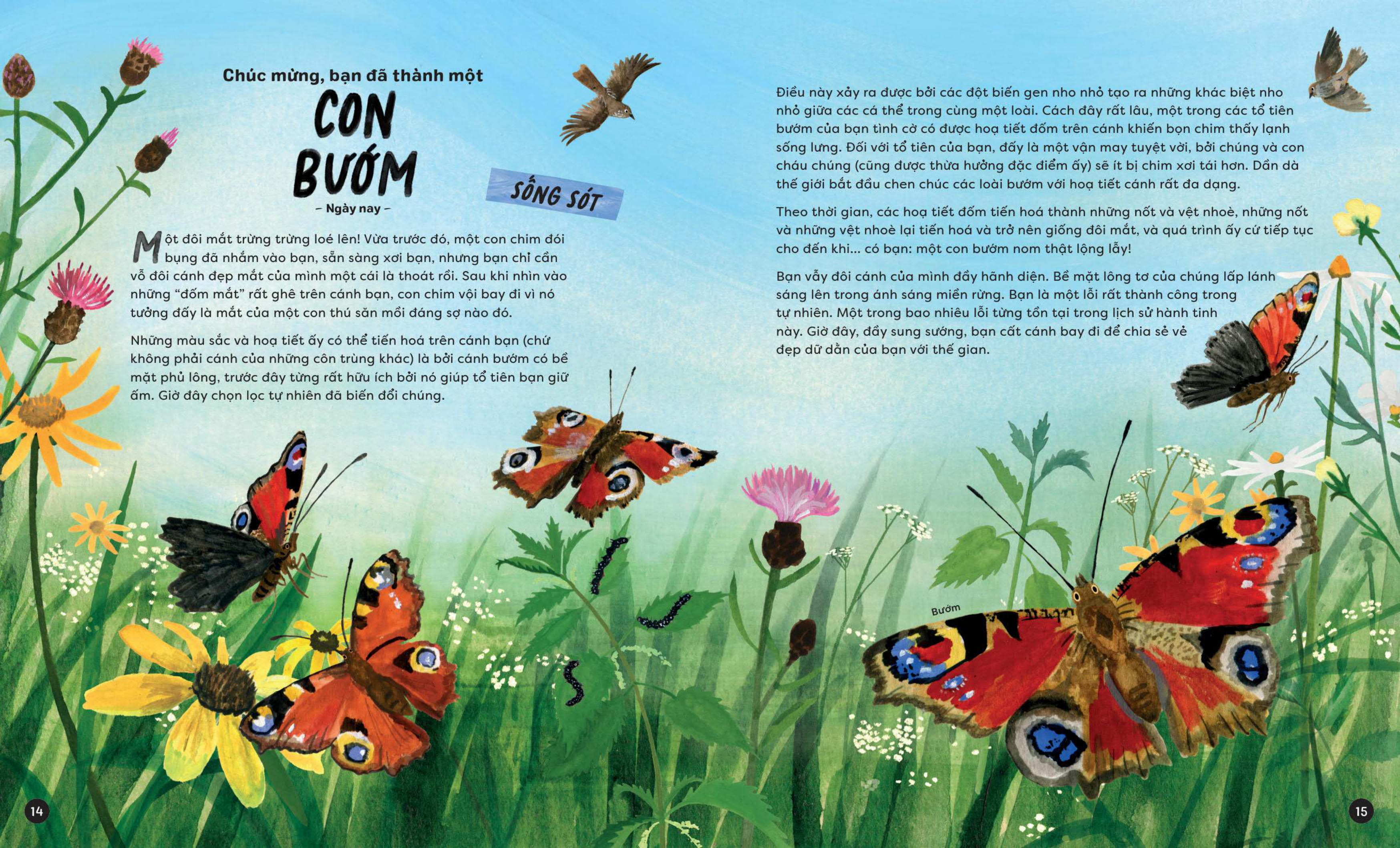 Nhap Vai Tien Hoa Cua Muon Loai - Tuyet Chung Hay Song Sot?