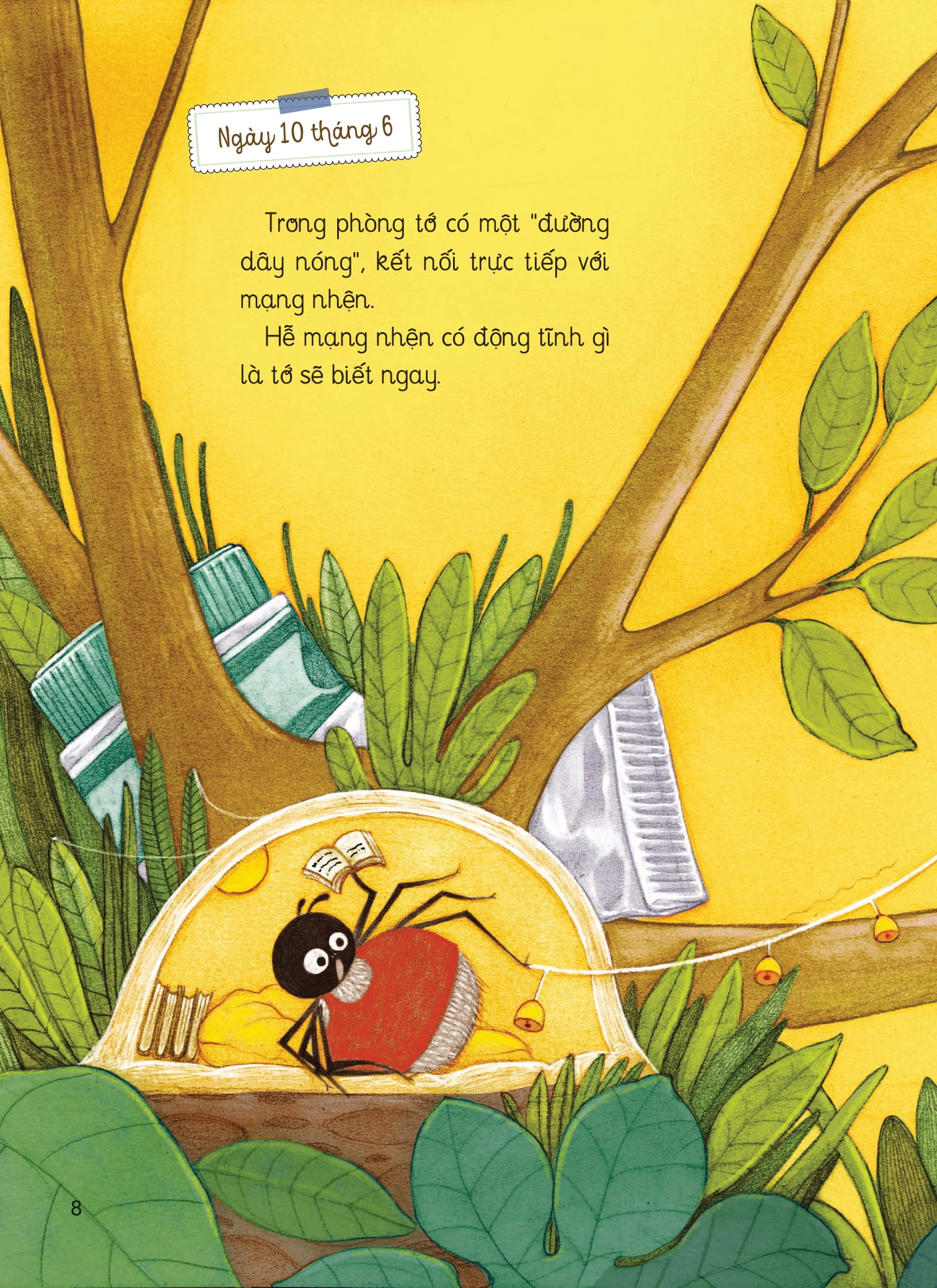 nhật kí thế giới côn trùng và những loài cùng hệ sinh thái - nhật kí nhện