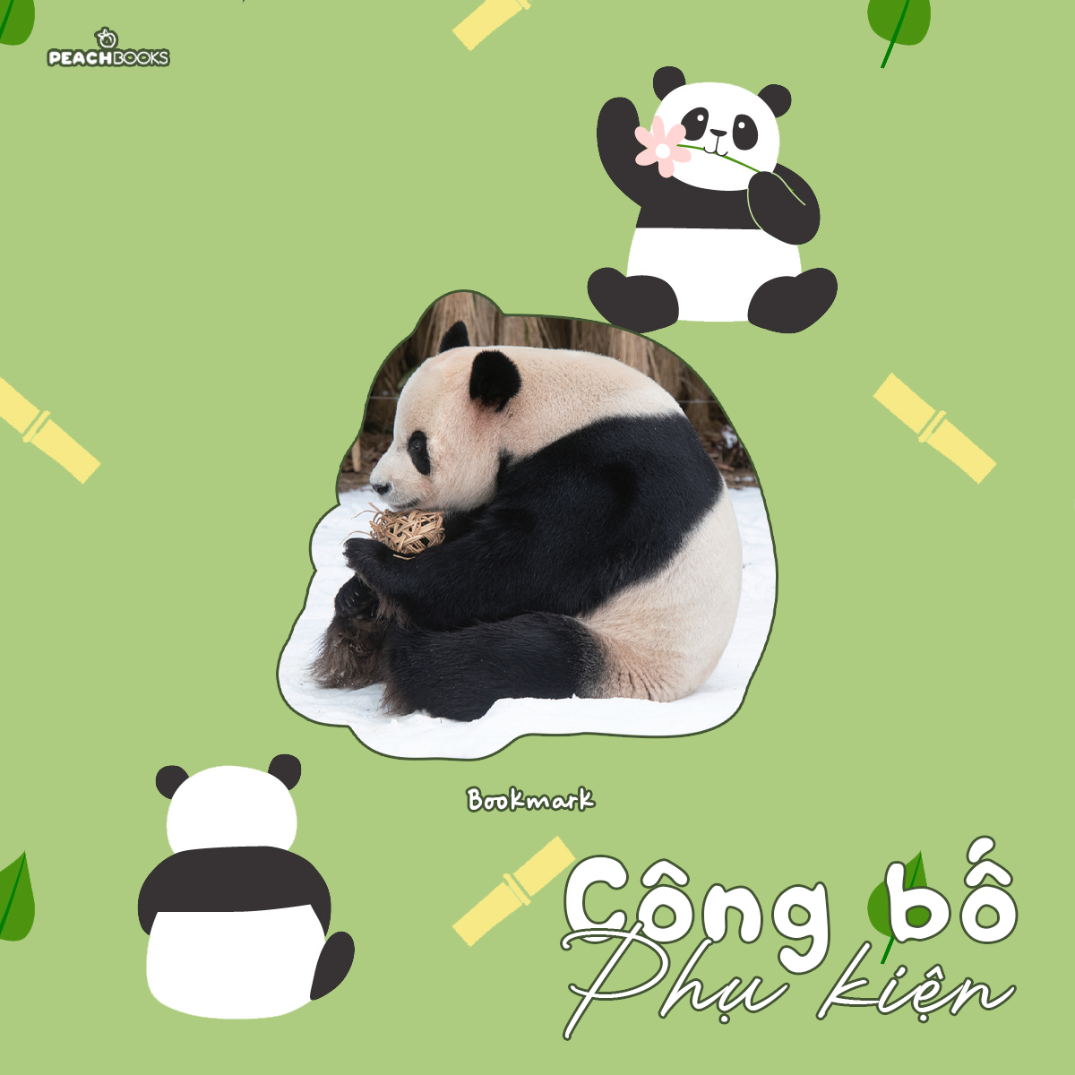 nhật ký hạnh phúc của công chúa fubao (tái bản) - tặng kèm bookmark