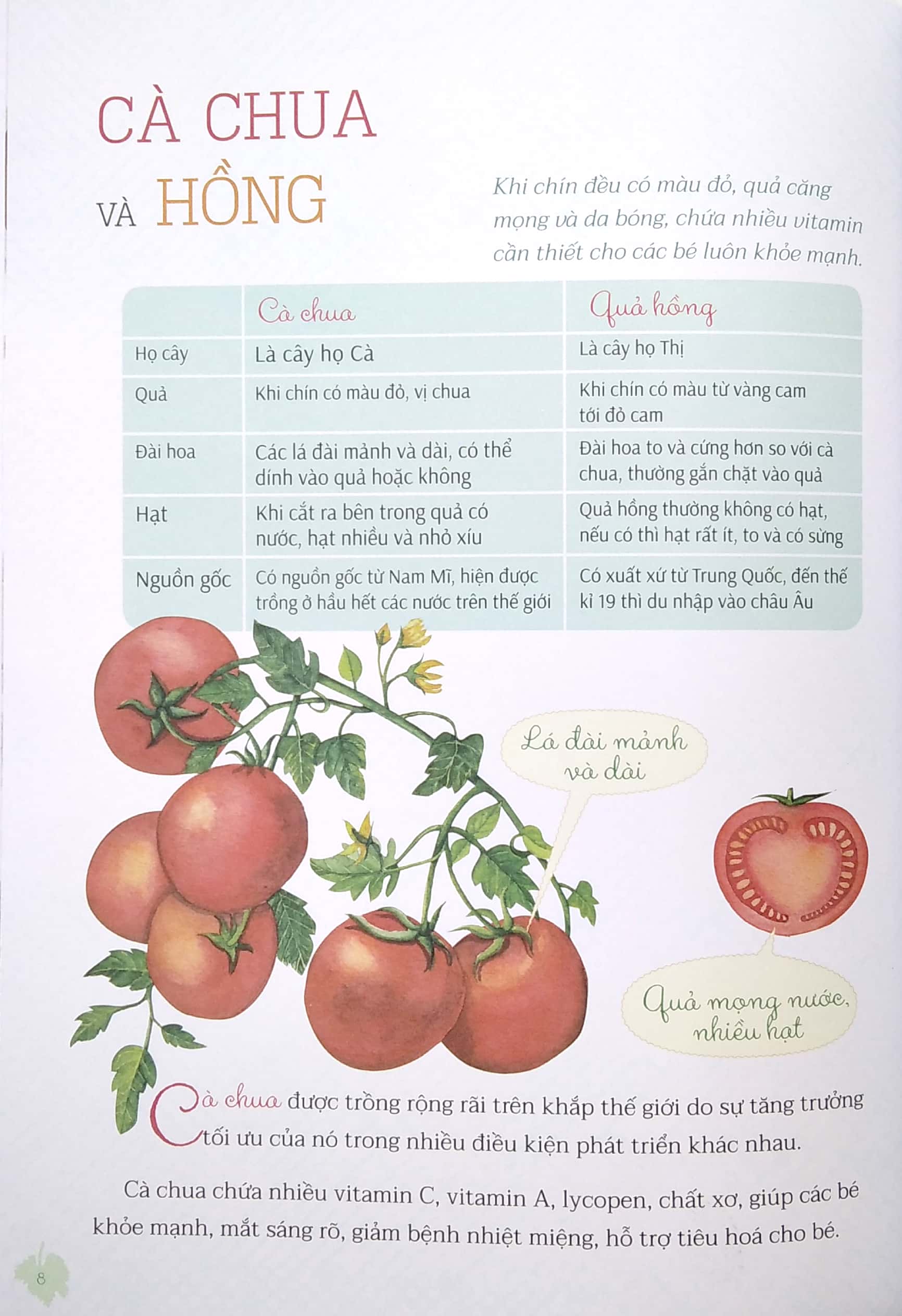 nhìn thì giống hóa ra lại khác