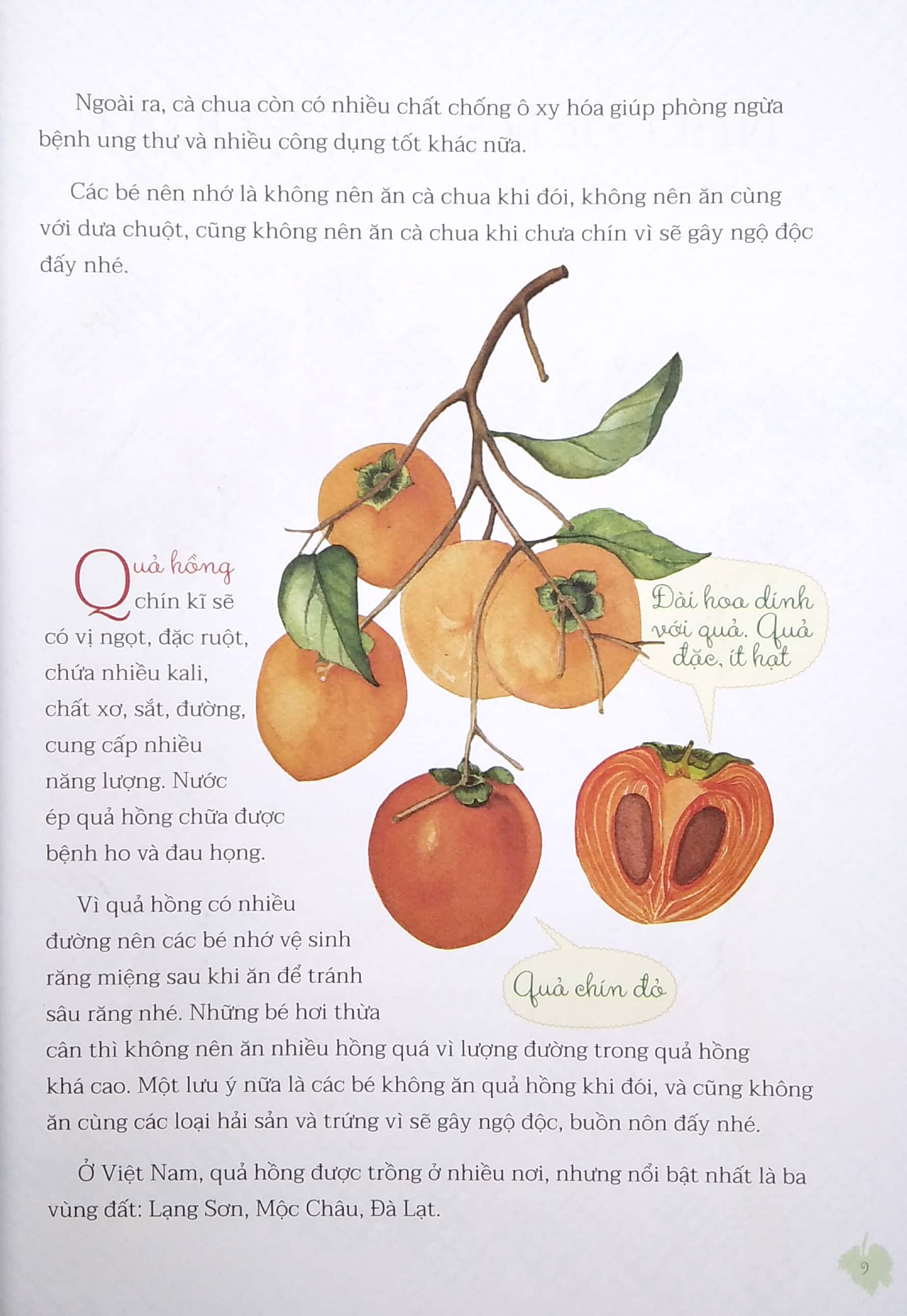 nhìn thì giống hóa ra lại khác