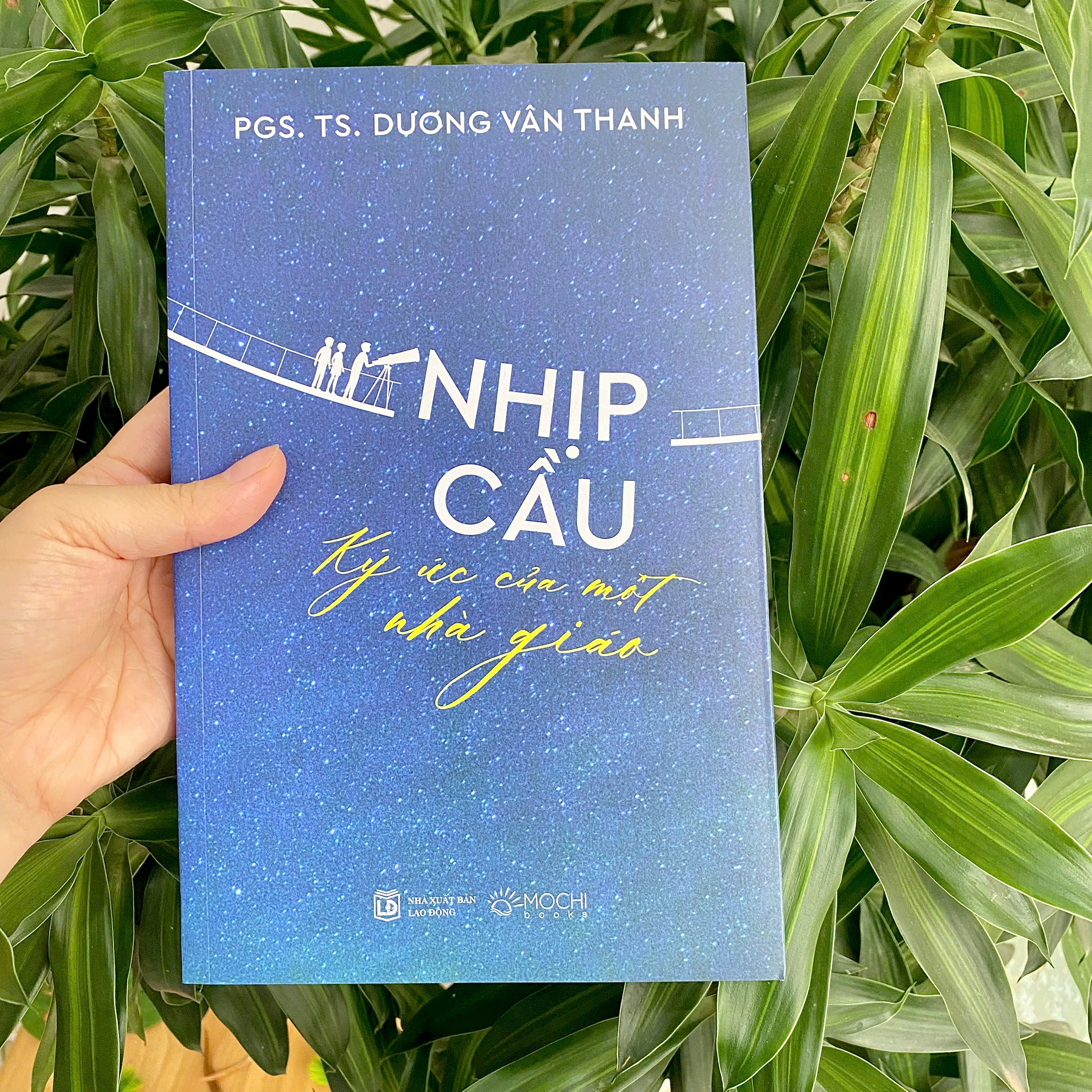 Nhịp Cầu - Ký Ức Của Một Nhà Giáo - Ảnh 9