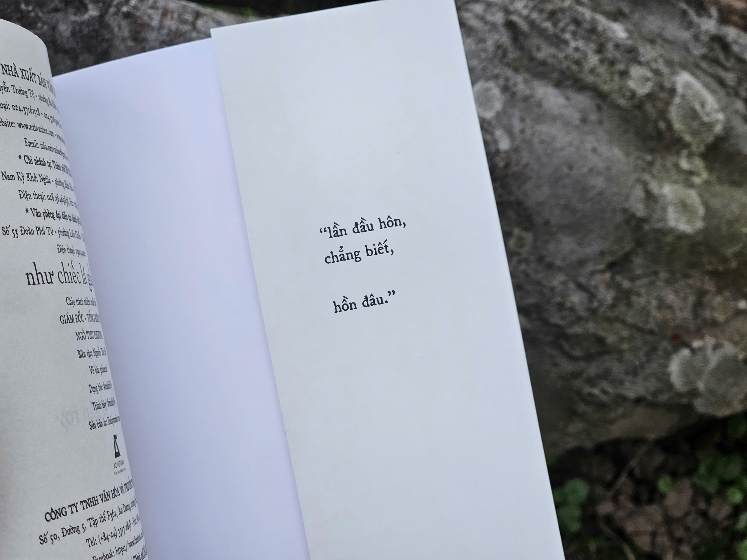 Như Chiếc Lá Gần Rơi