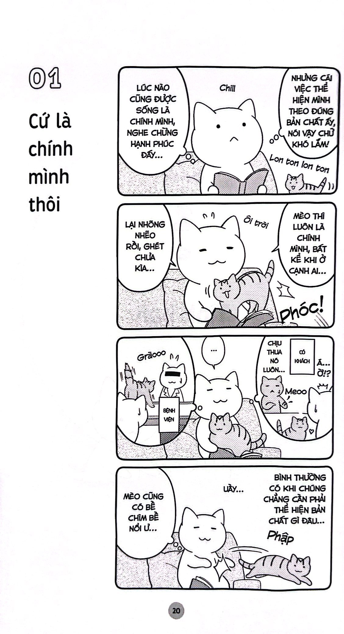 những bài học cuộc sống từ đám mèo nhà tôi