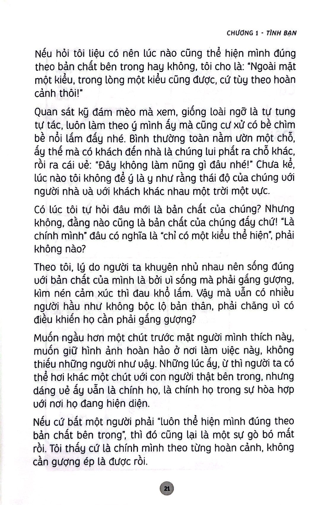 những bài học cuộc sống từ đám mèo nhà tôi