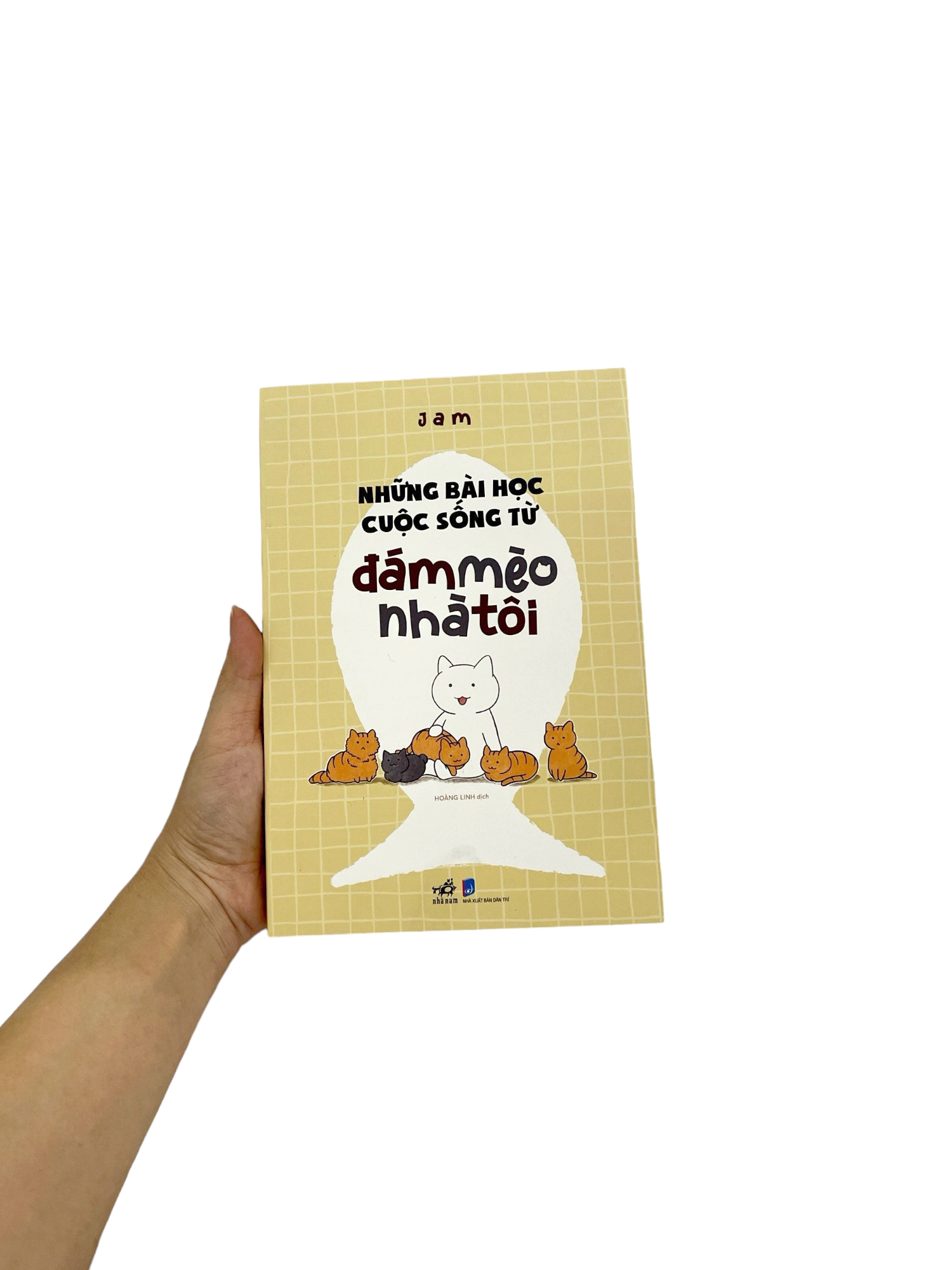 những bài học cuộc sống từ đám mèo nhà tôi