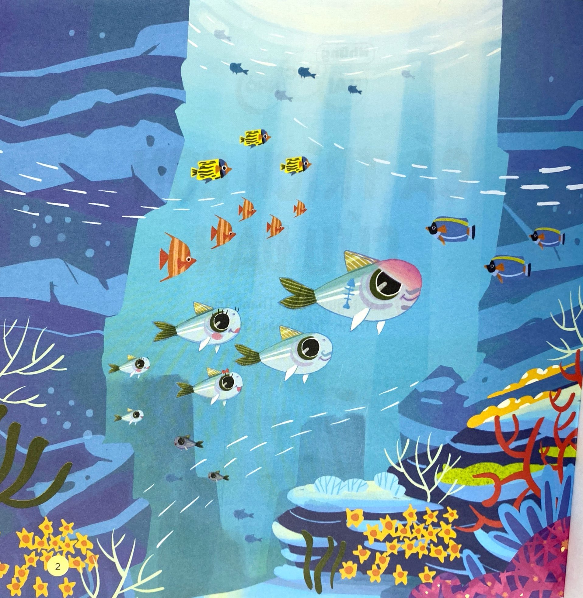 những bài học nhỏ - cá trích con cứu đàn