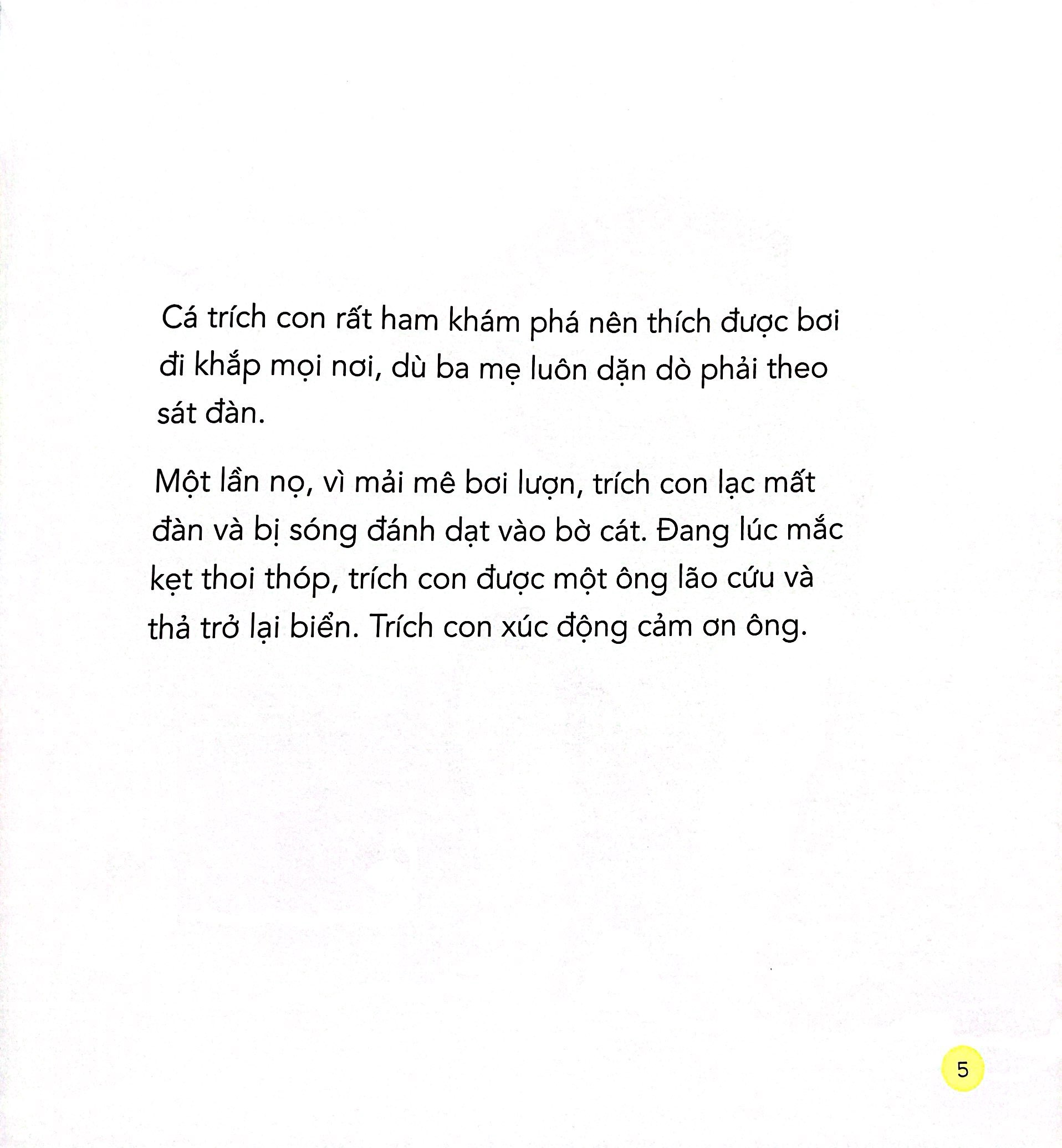 những bài học nhỏ - cá trích con cứu đàn