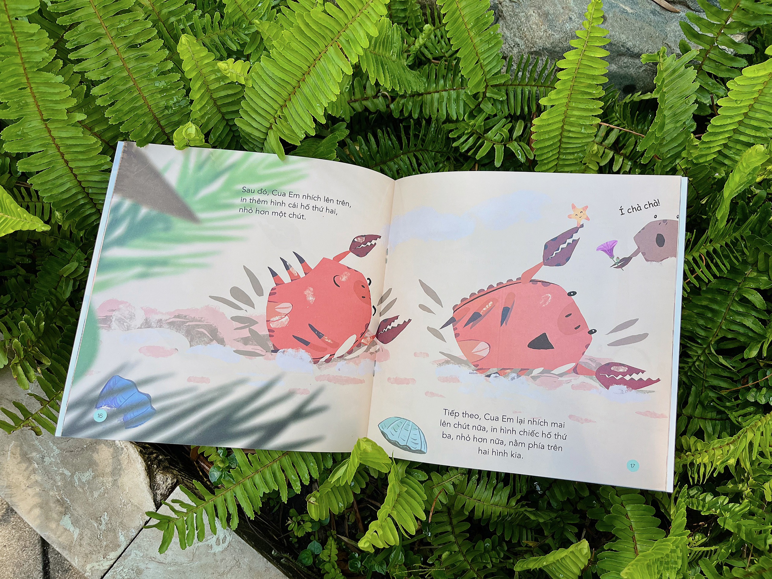 những bài học nhỏ - cua vẽ tranh cát