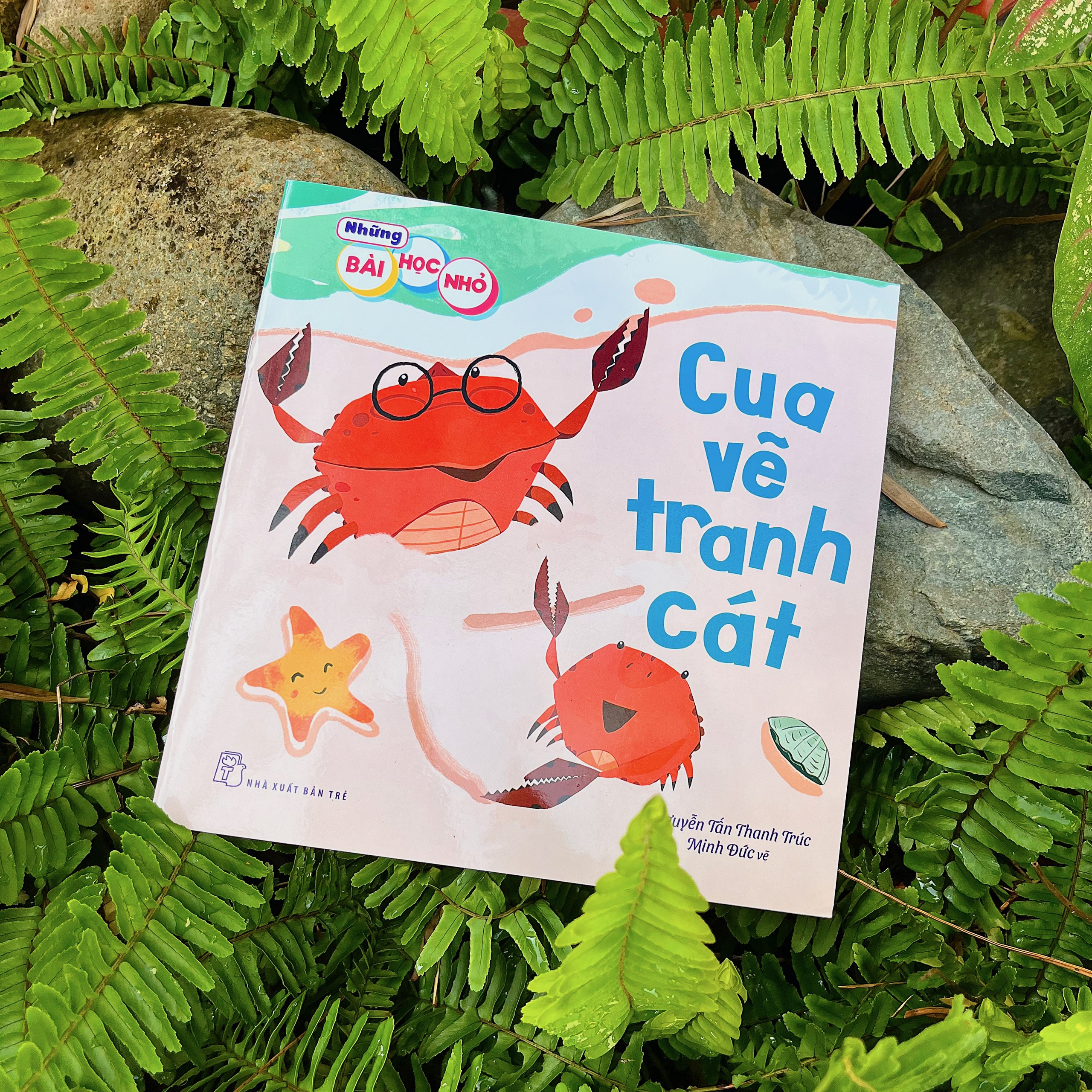 những bài học nhỏ - cua vẽ tranh cát