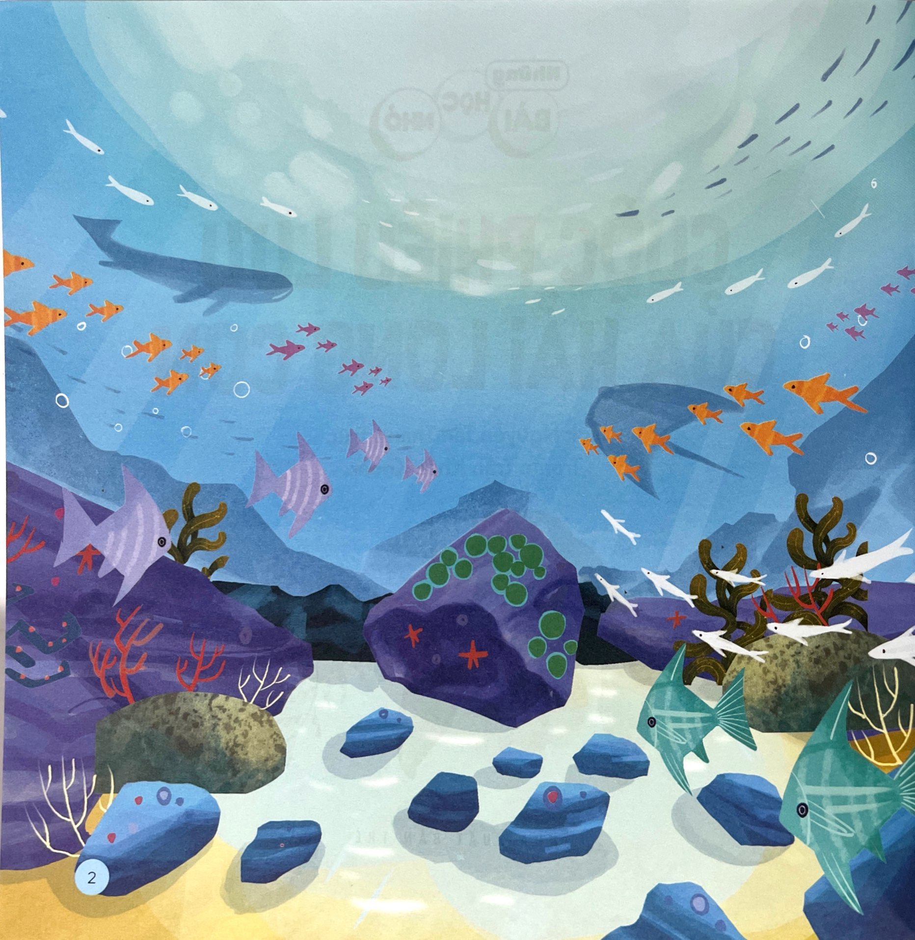 những bài học nhỏ - cuộc phiêu lưu của hải long con