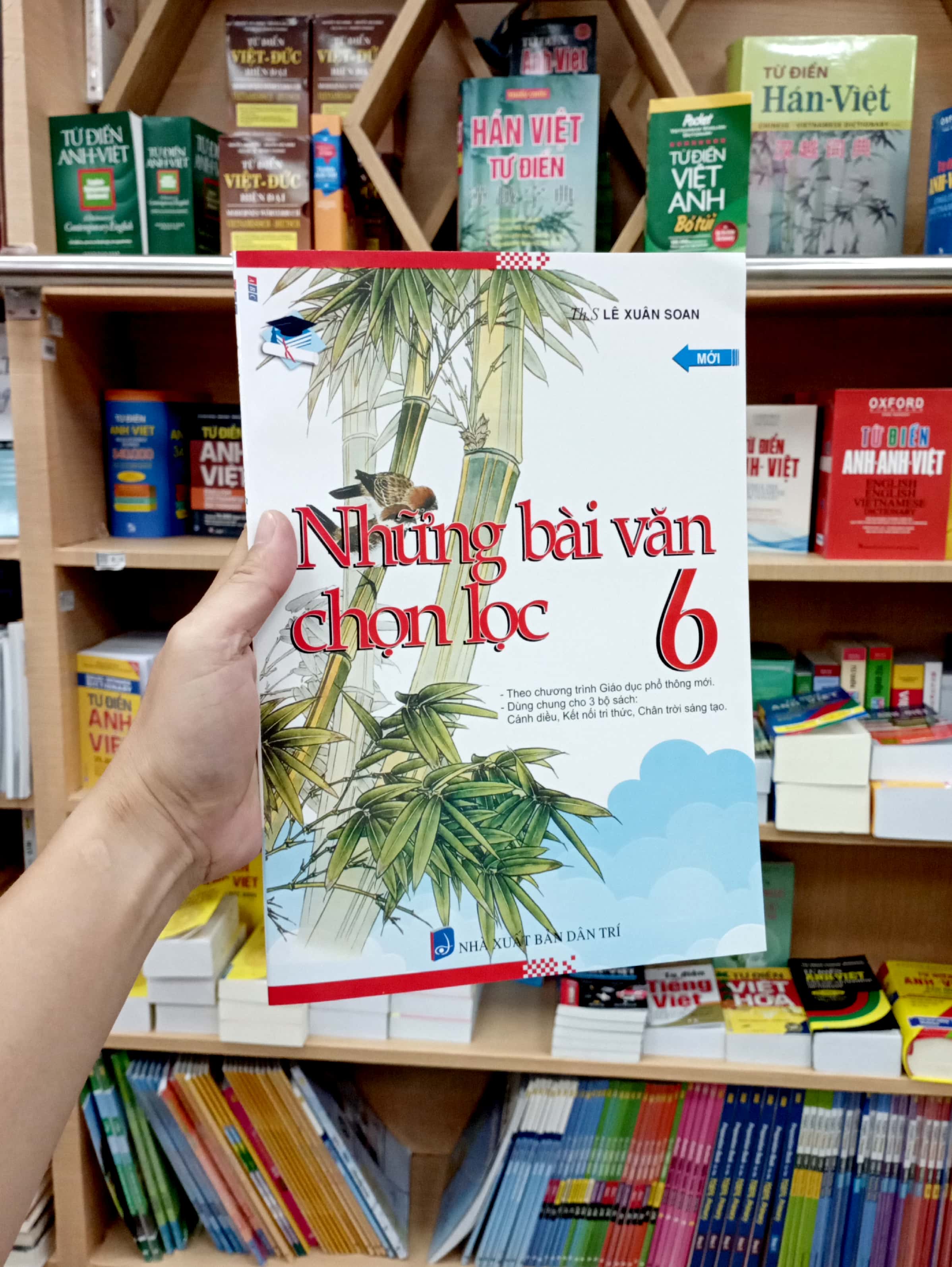những bài văn chọn lọc 6 (tái bản)